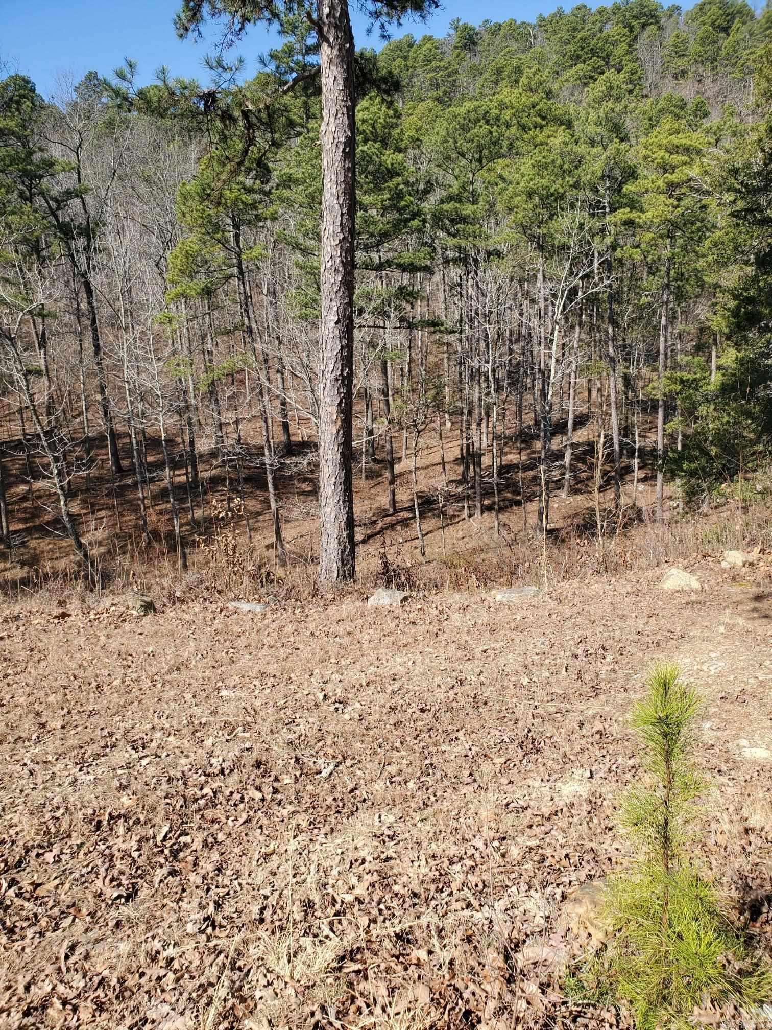 TOWN OF EGGER (CHERRY HILL) - Residential