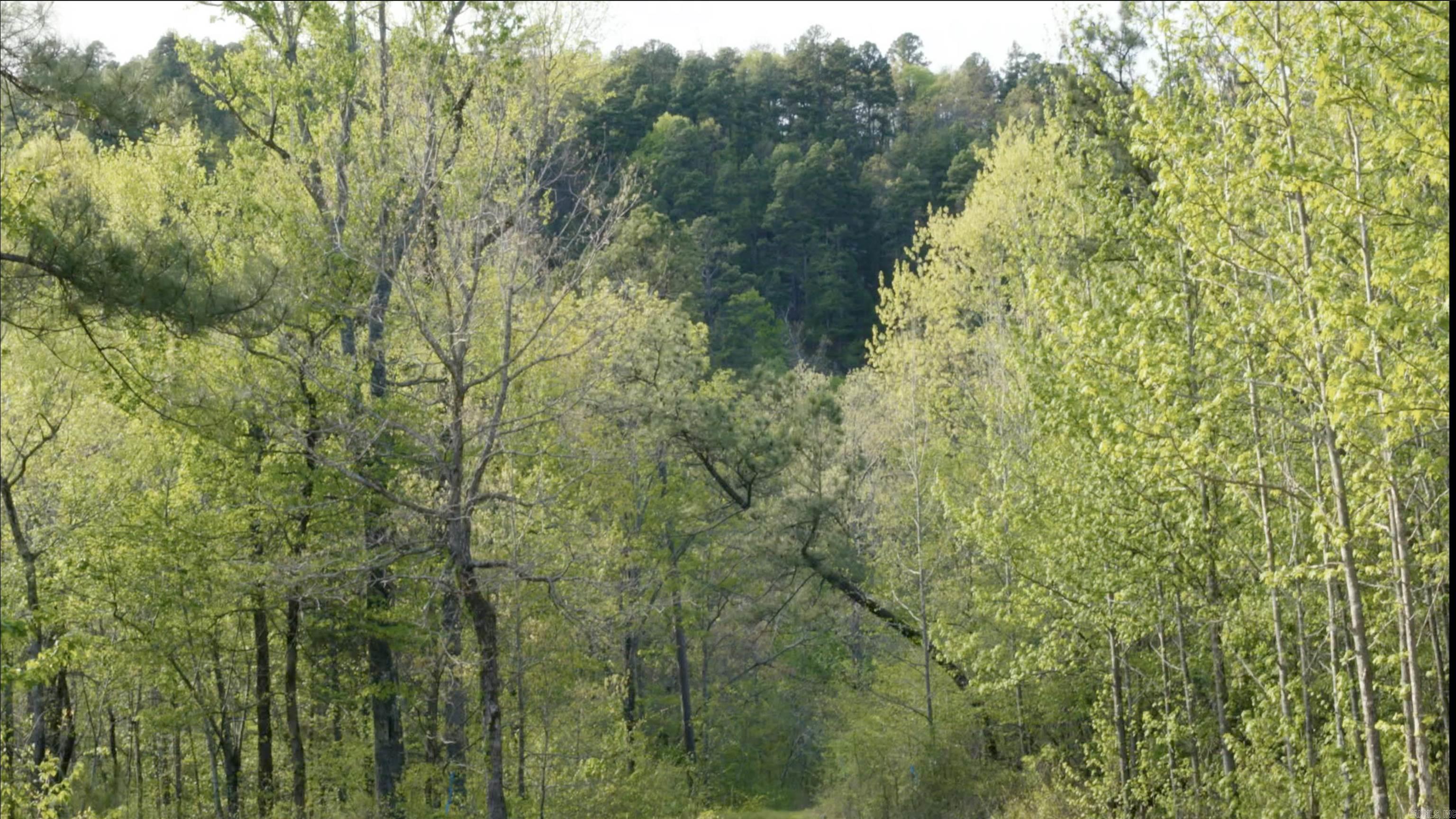 TOWN OF EGGER (CHERRY HILL) - Residential