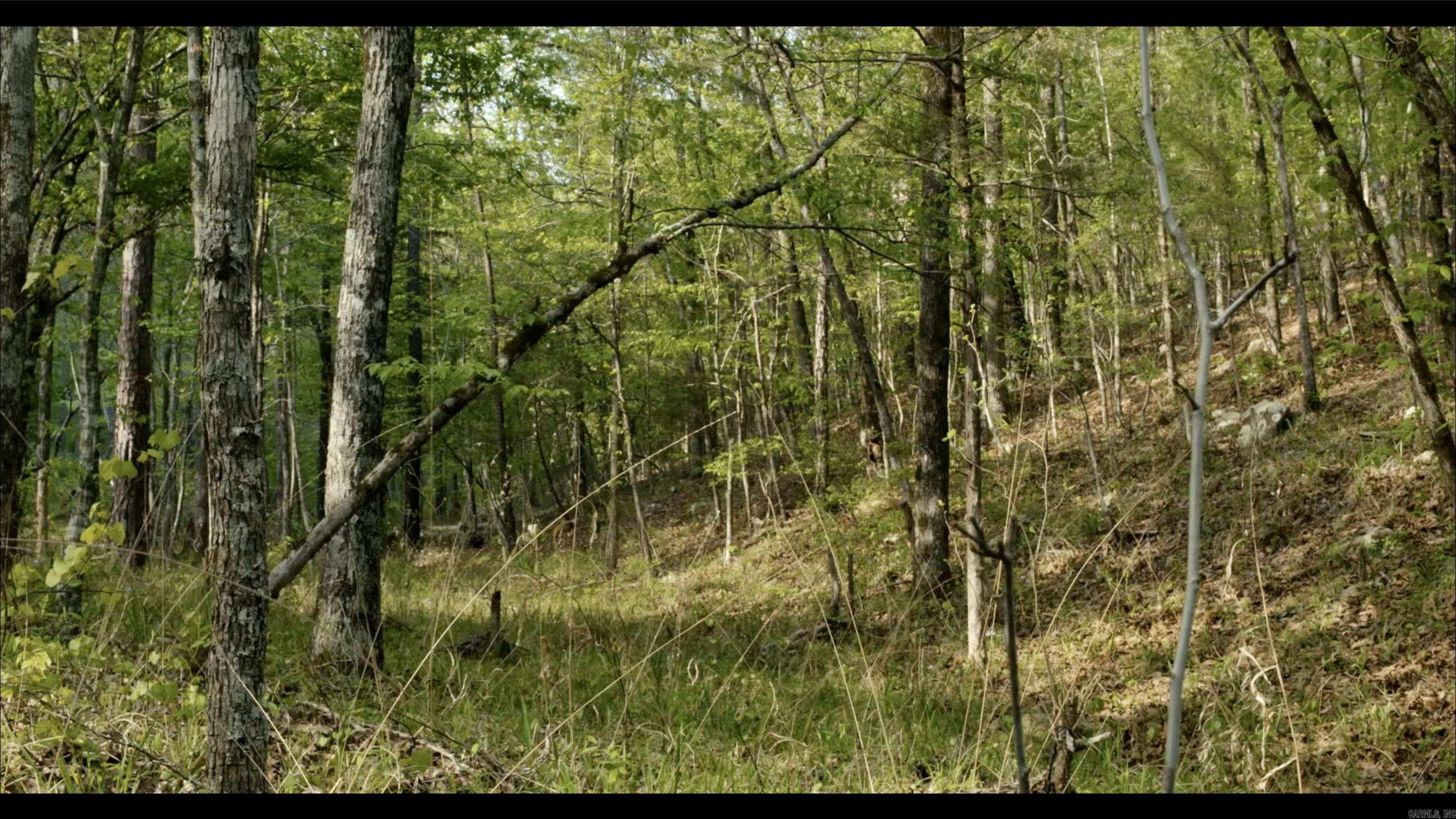 TOWN OF EGGER (CHERRY HILL) - Residential