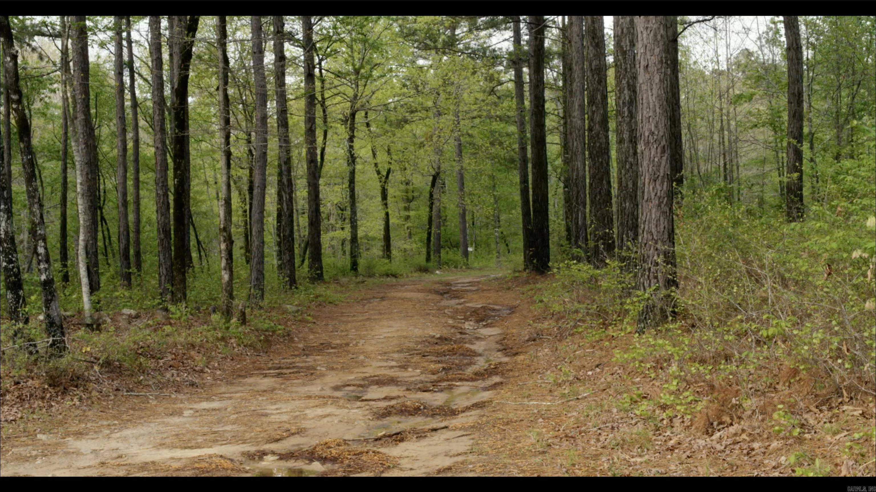 TOWN OF EGGER (CHERRY HILL) - Residential