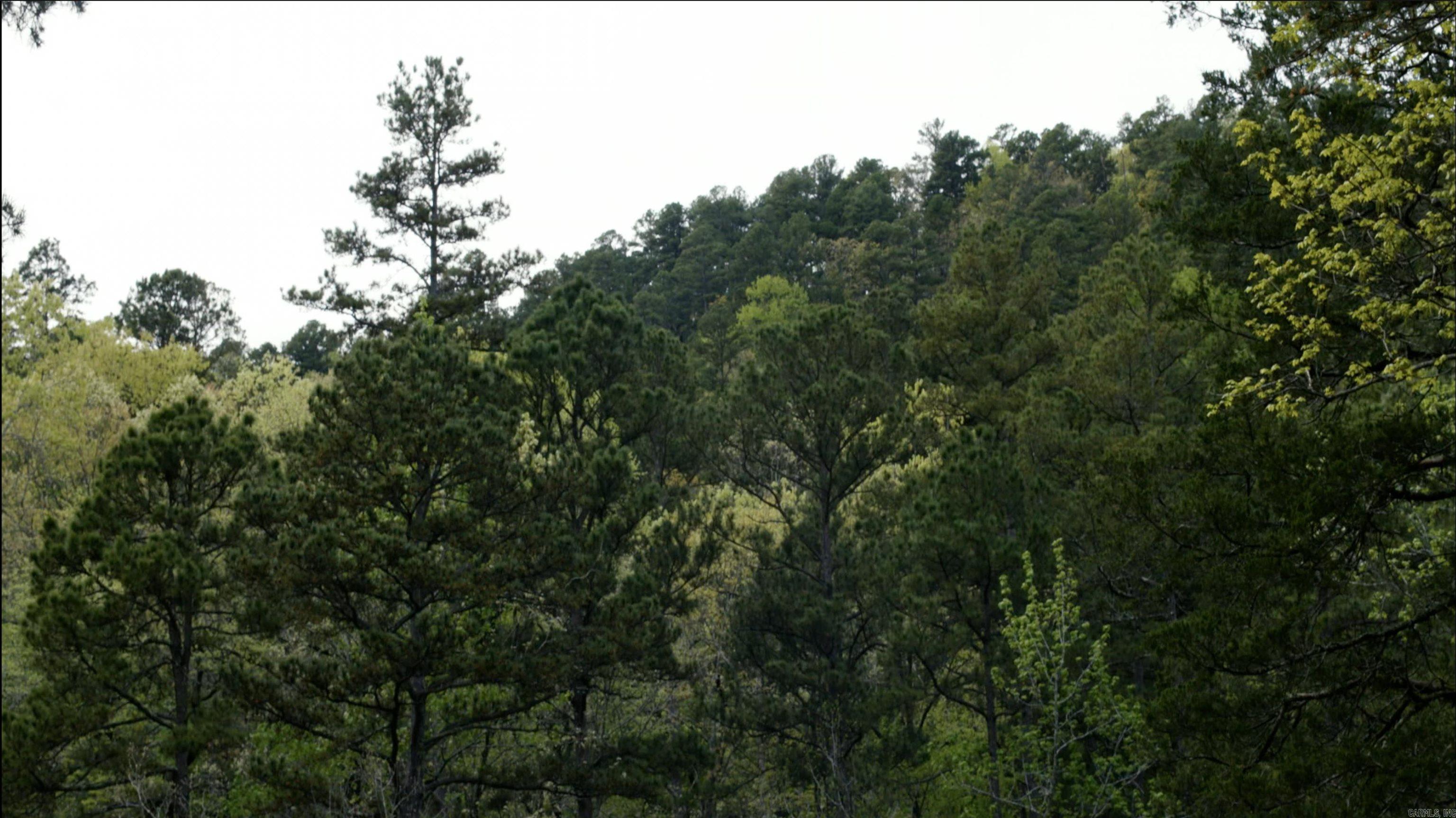 TOWN OF EGGER (CHERRY HILL) - Residential