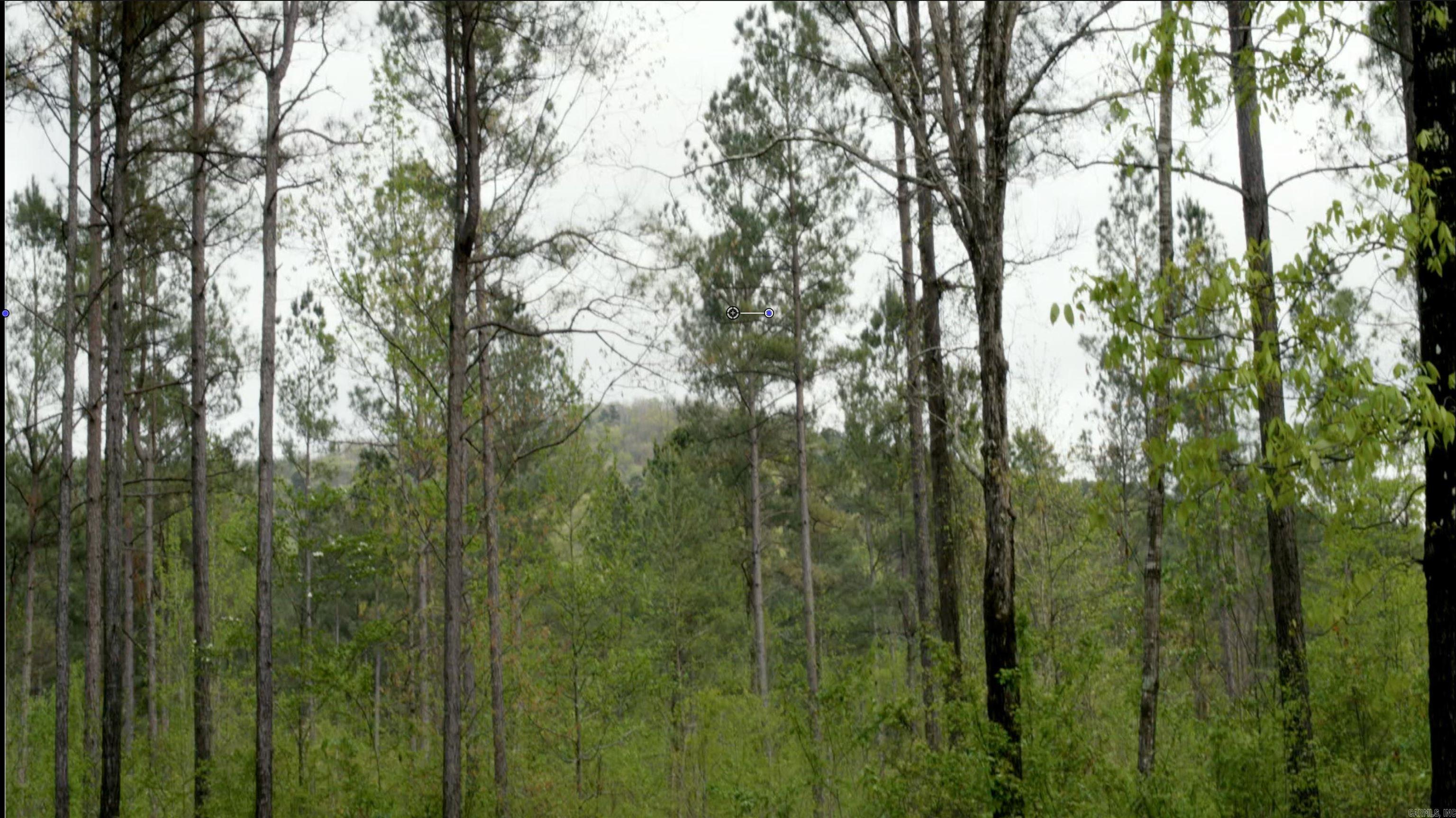 TOWN OF EGGER (CHERRY HILL) - Residential