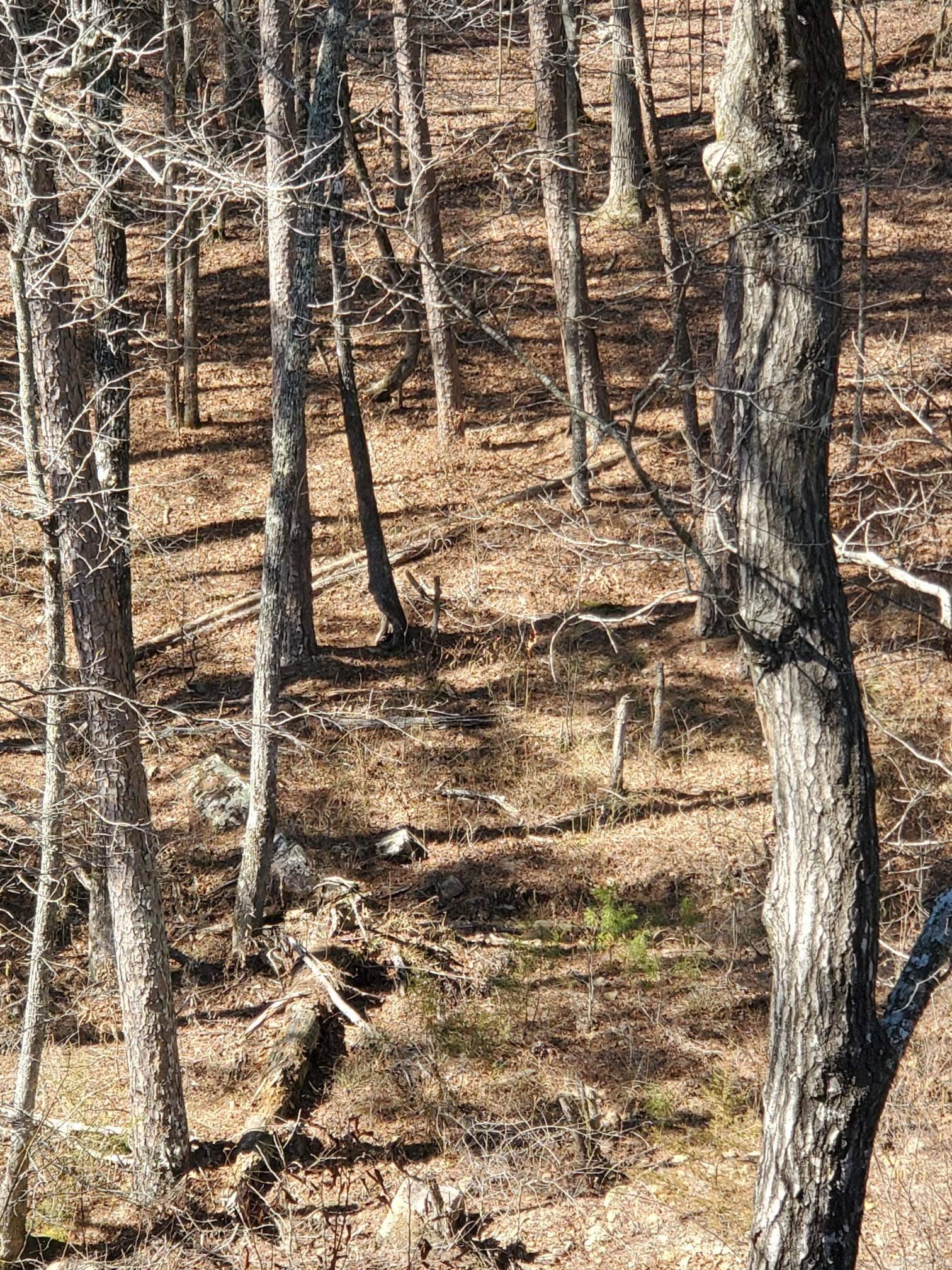 TOWN OF EGGER (CHERRY HILL) - Residential