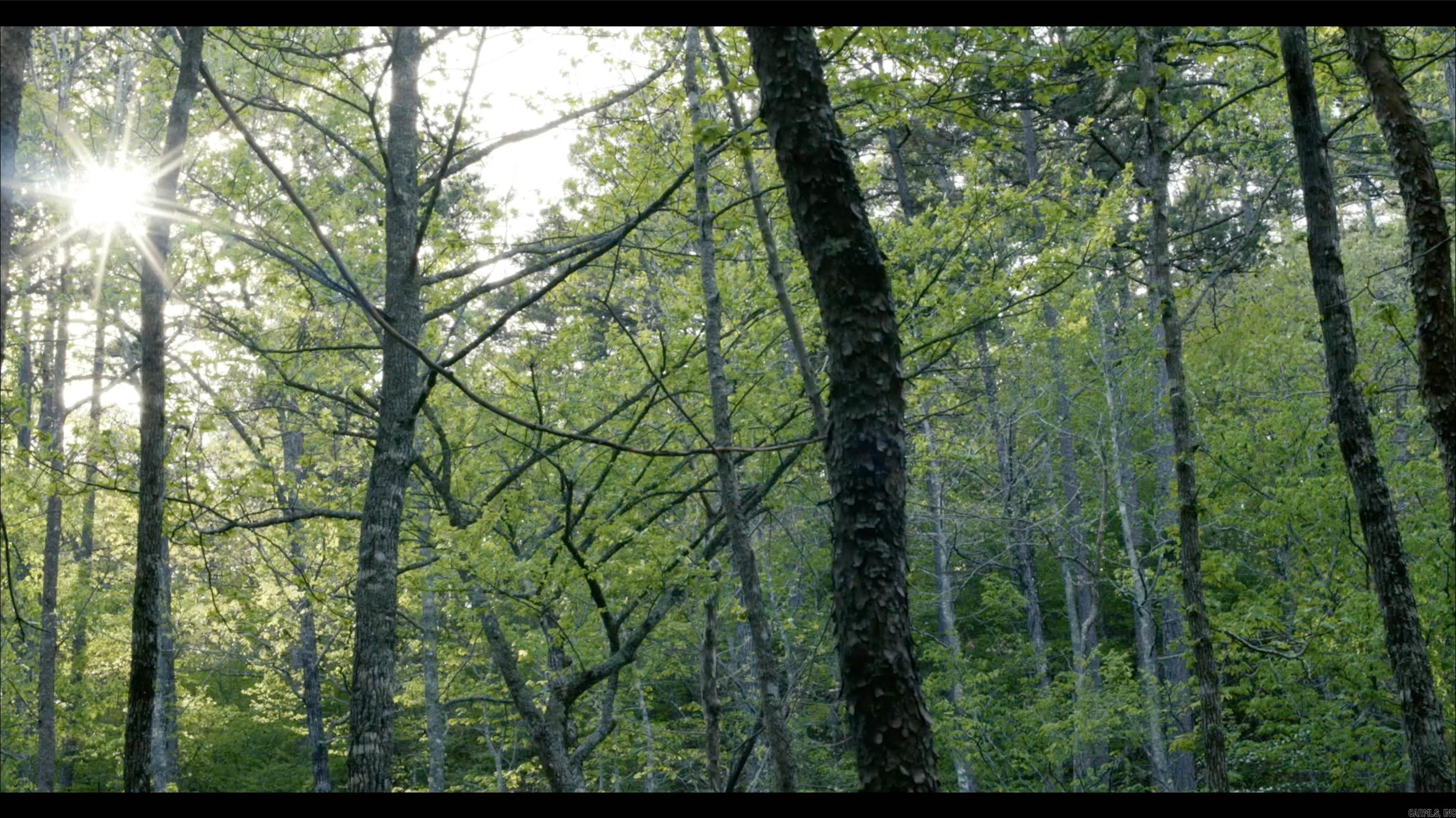 TOWN OF EGGER (CHERRY HILL) - Residential