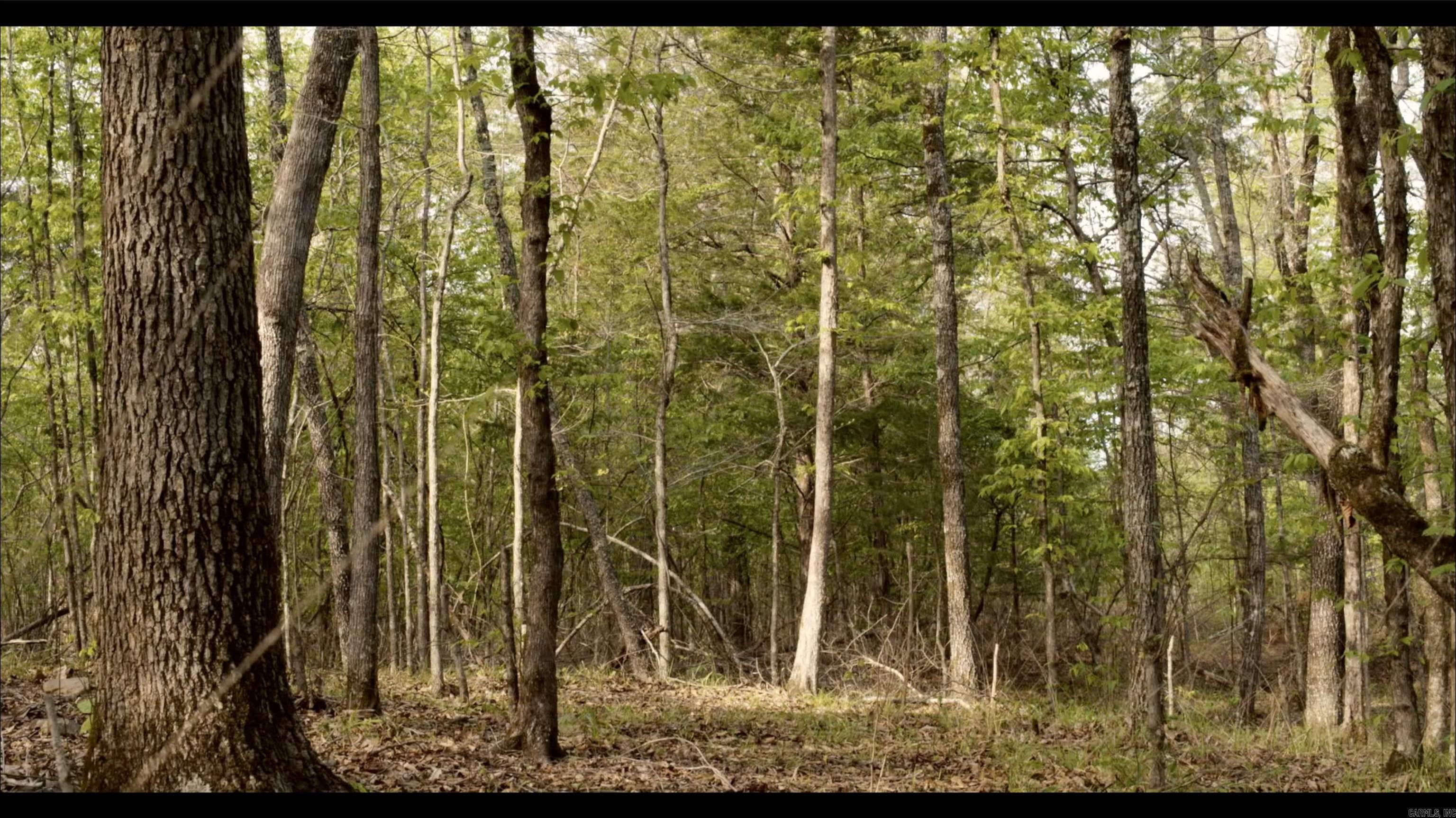 TOWN OF EGGER (CHERRY HILL) - Residential