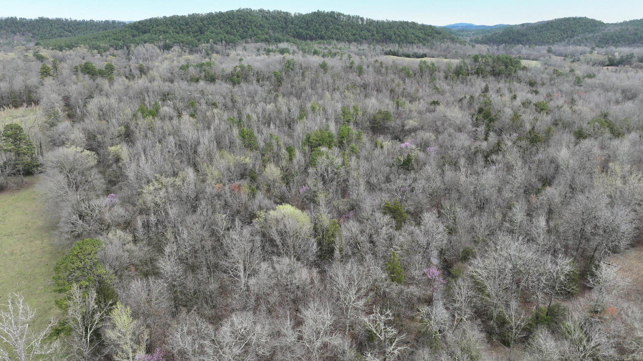 Big Fork Area - Land