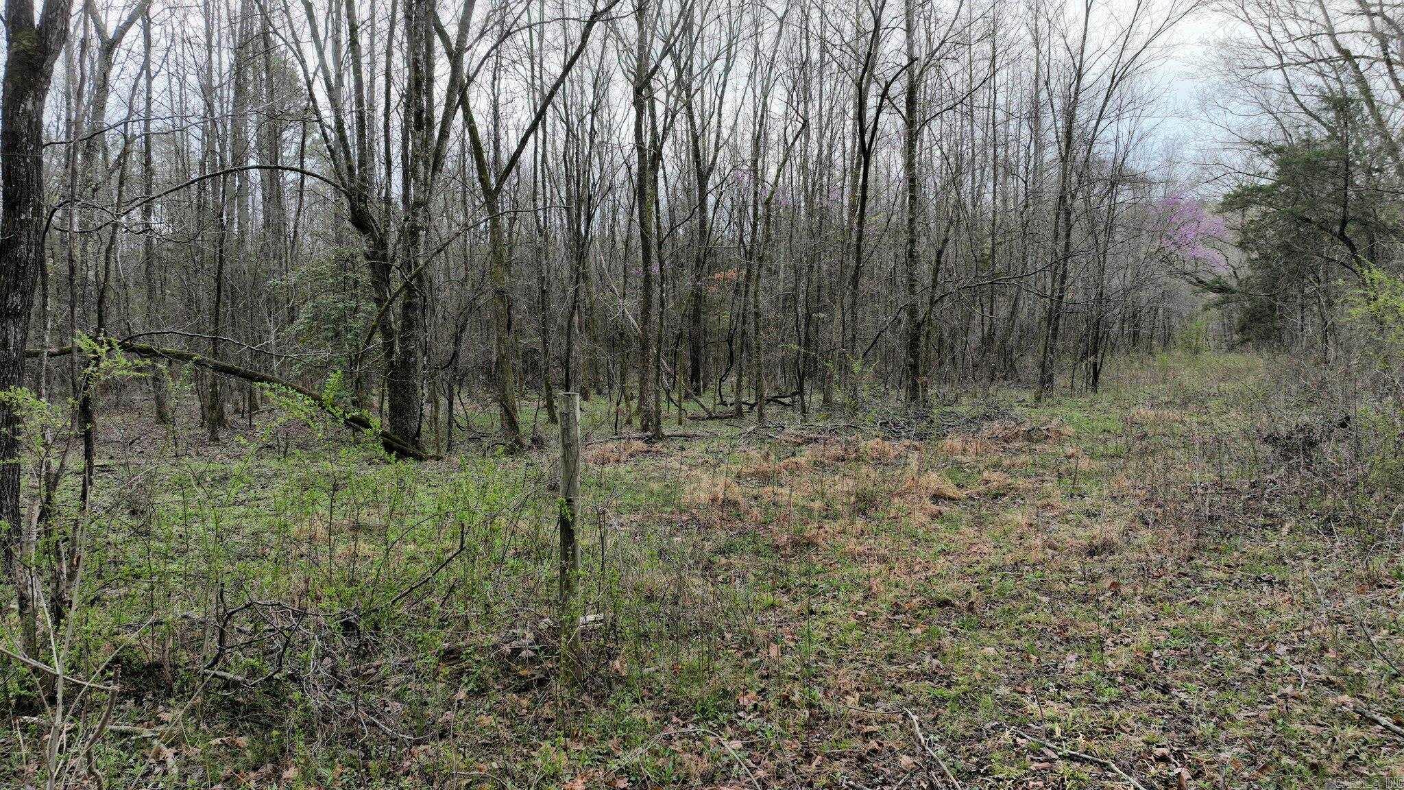 Big Fork Area - Land