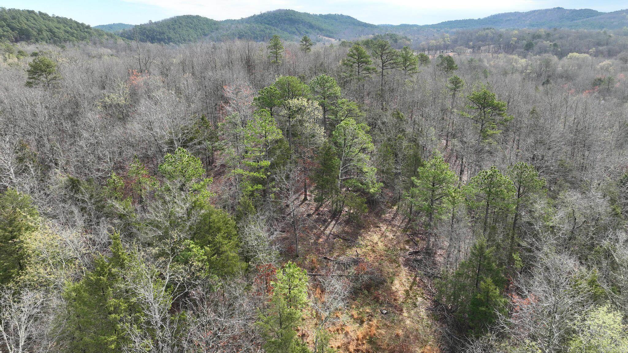 Big Fork Area - Land
