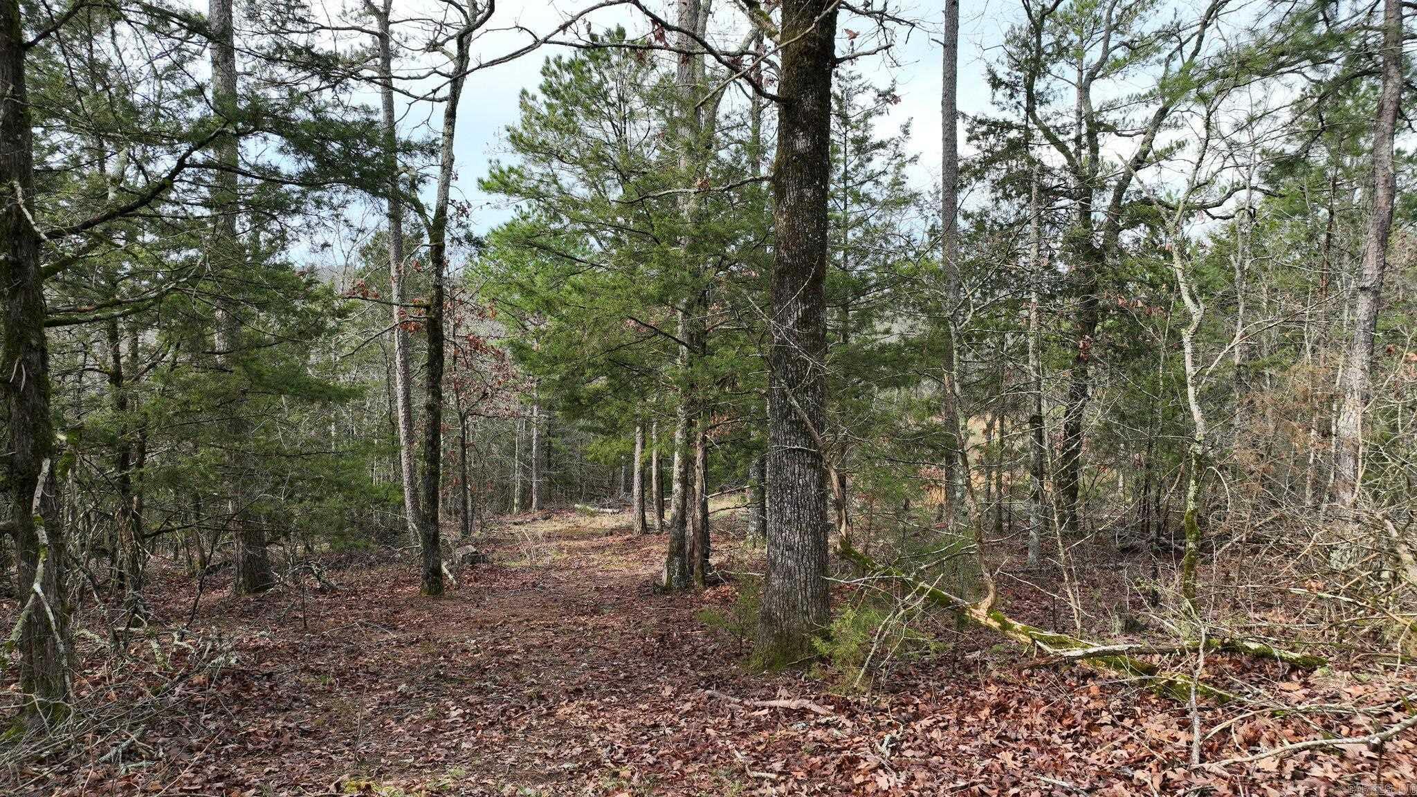 Big Fork Area - Land