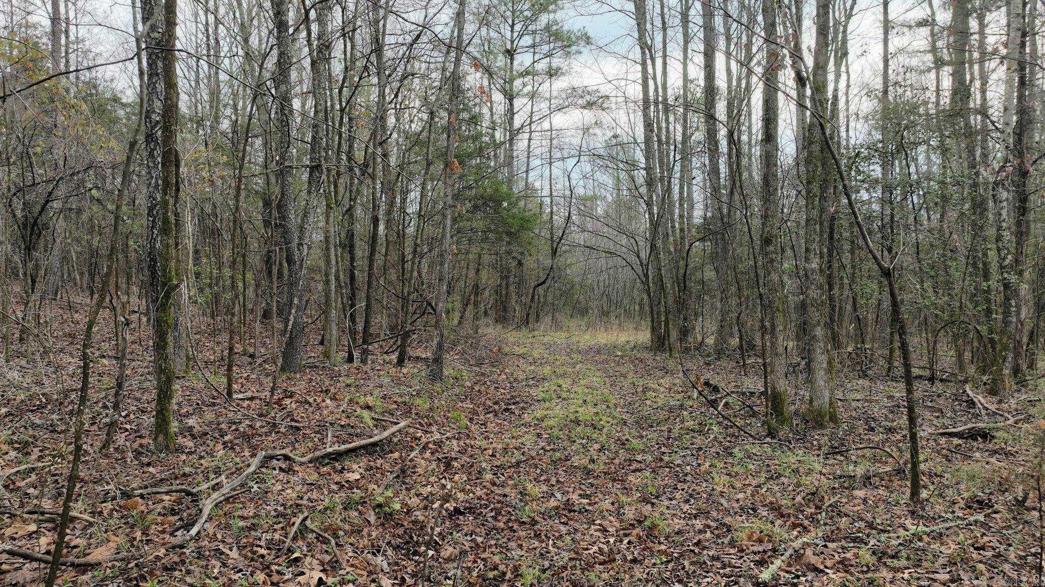 Big Fork Area - Land