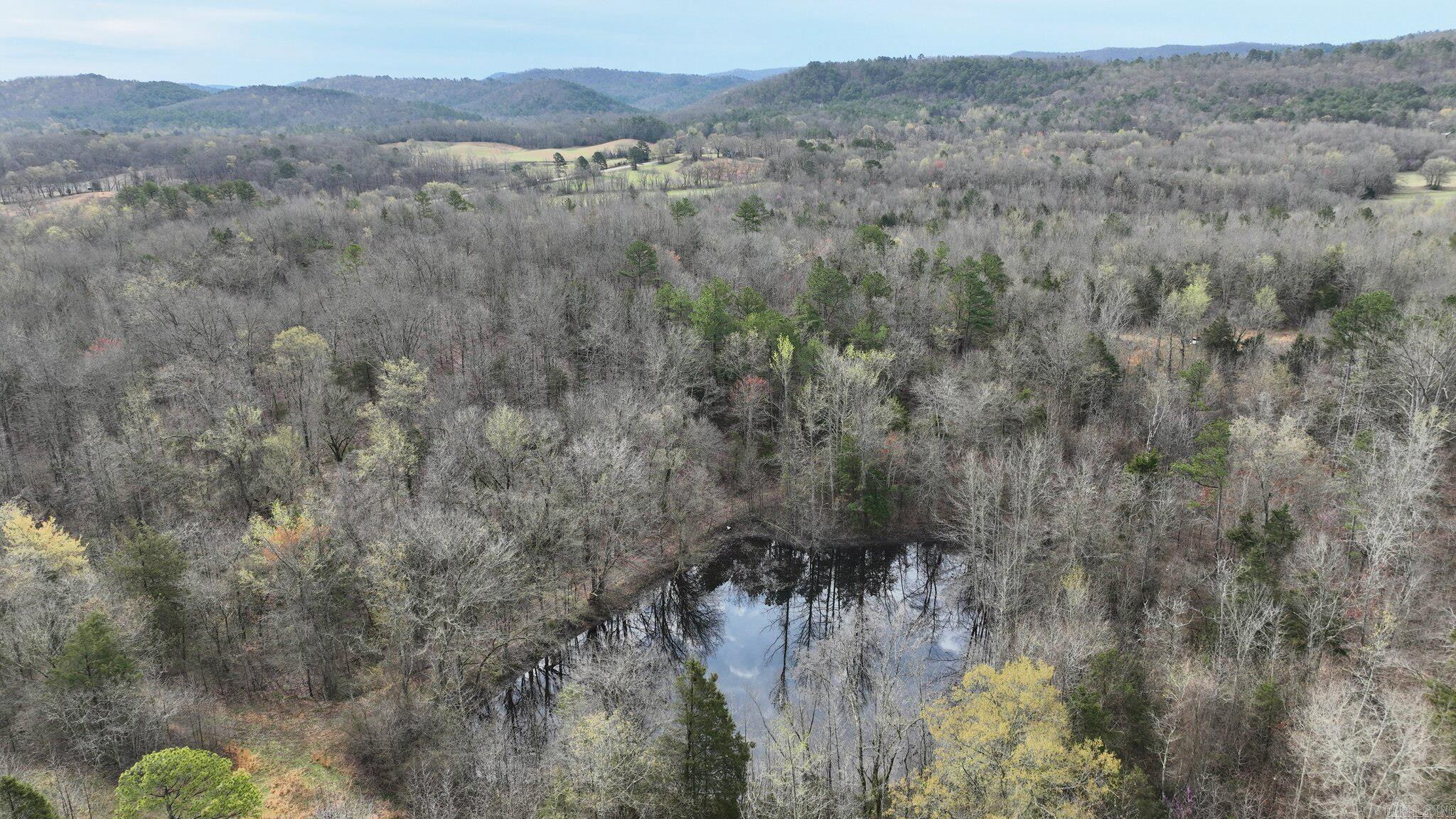 Big Fork Area - Land