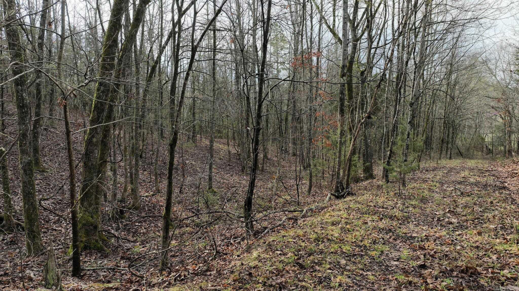 Big Fork Area - Land