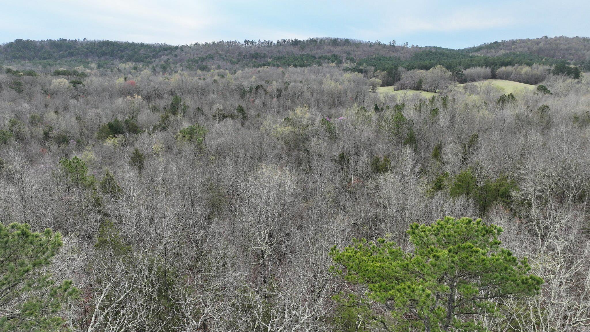 Big Fork Area - Land