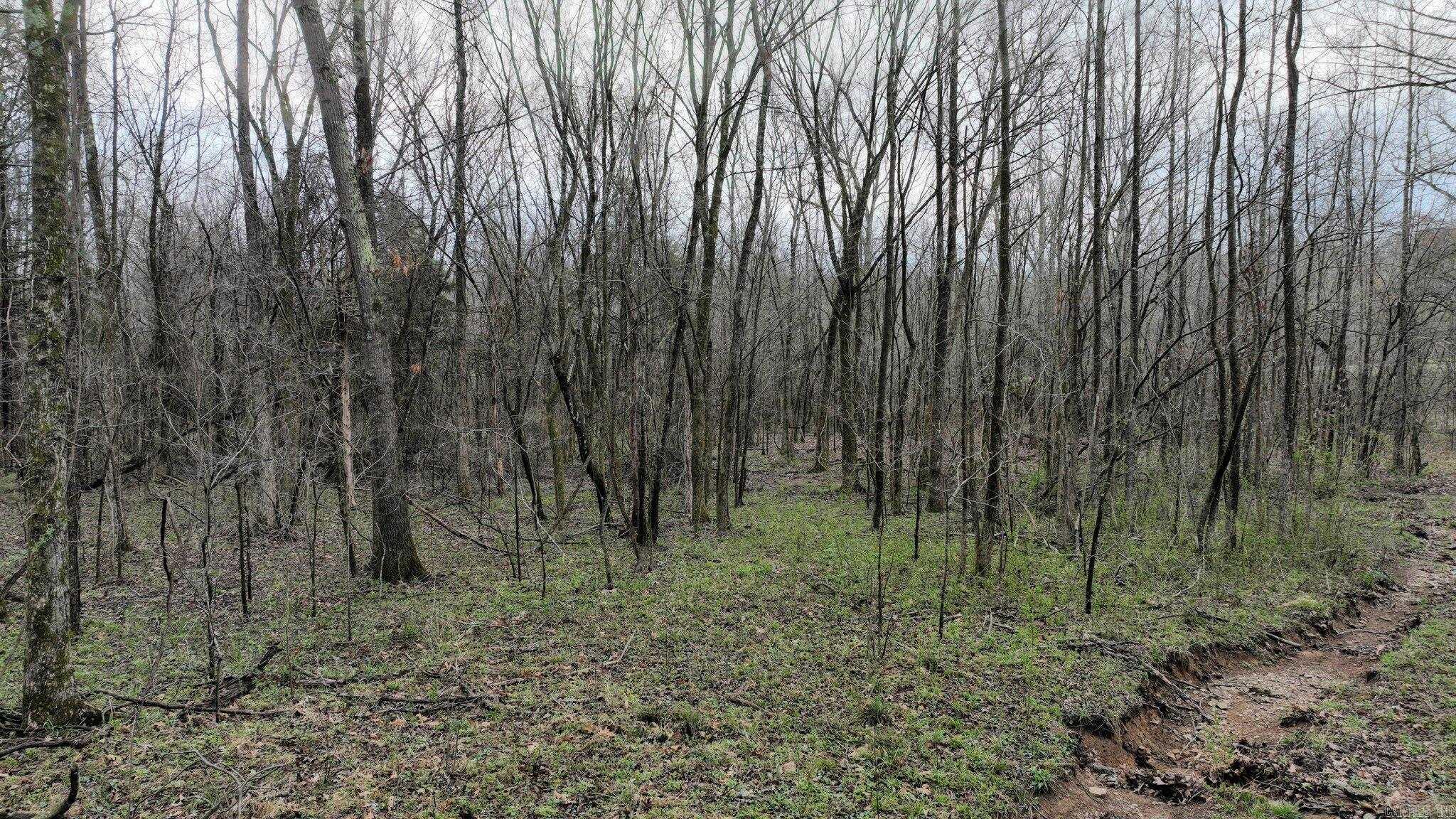 Big Fork Area - Land