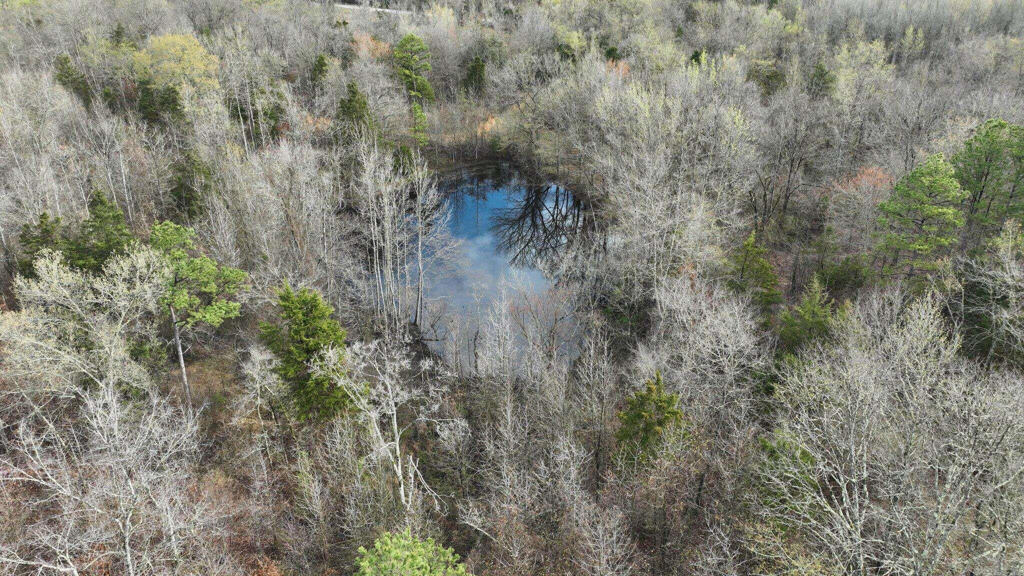 Big Fork Area - Land