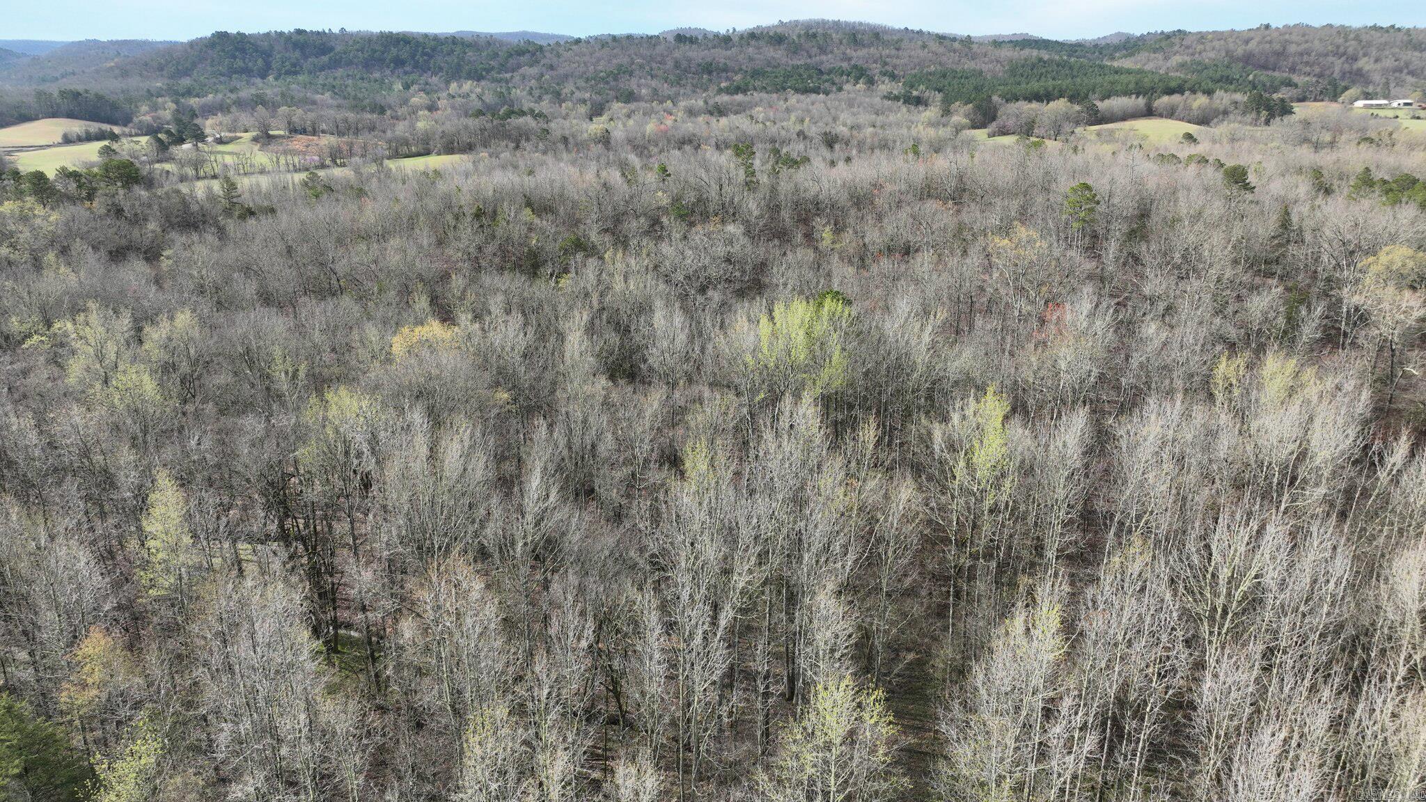 Big Fork Area - Land