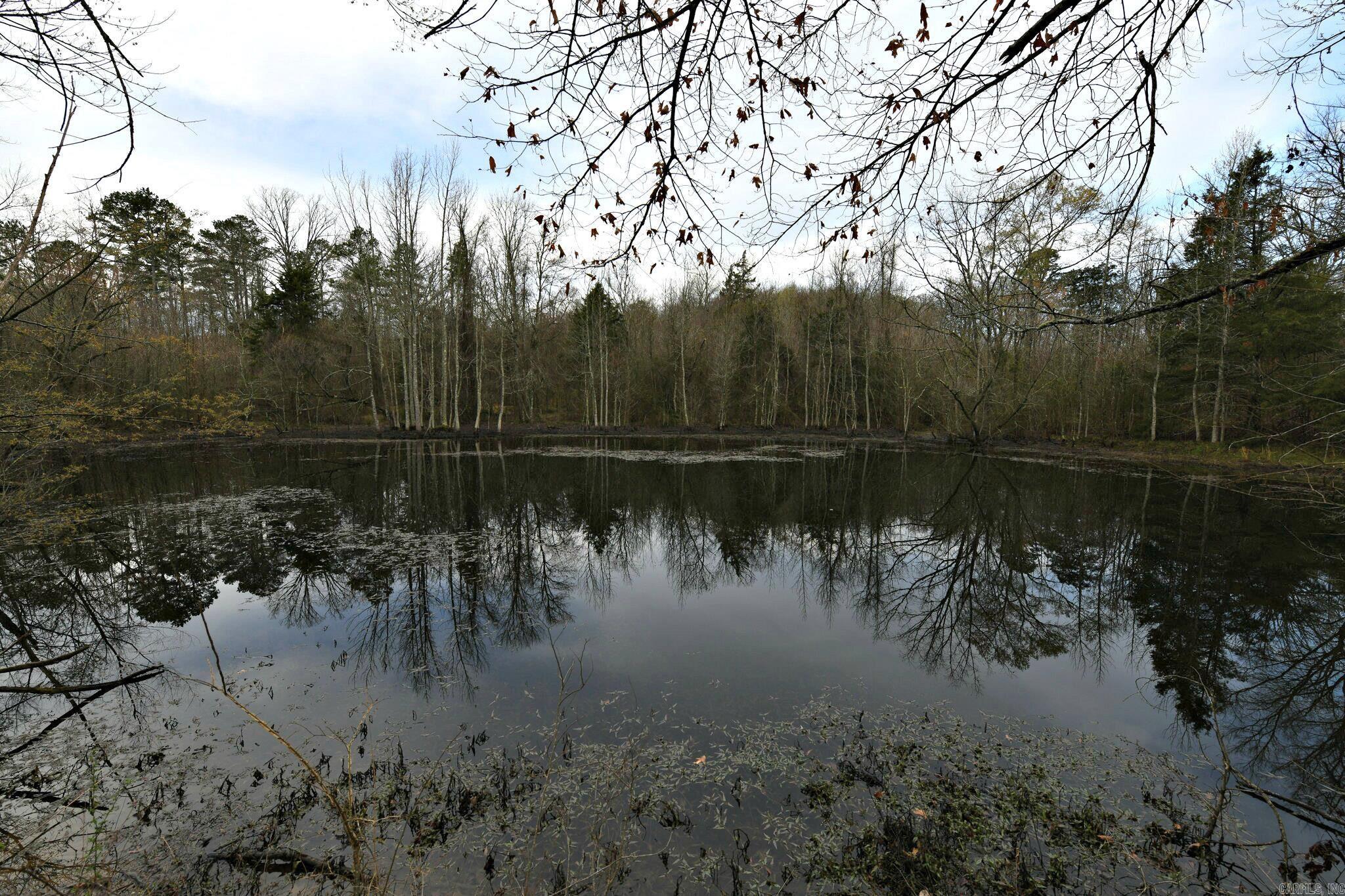 Big Fork Area - Land