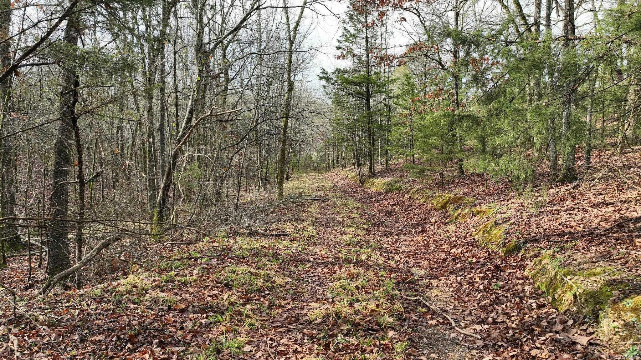 Big Fork Area - Land