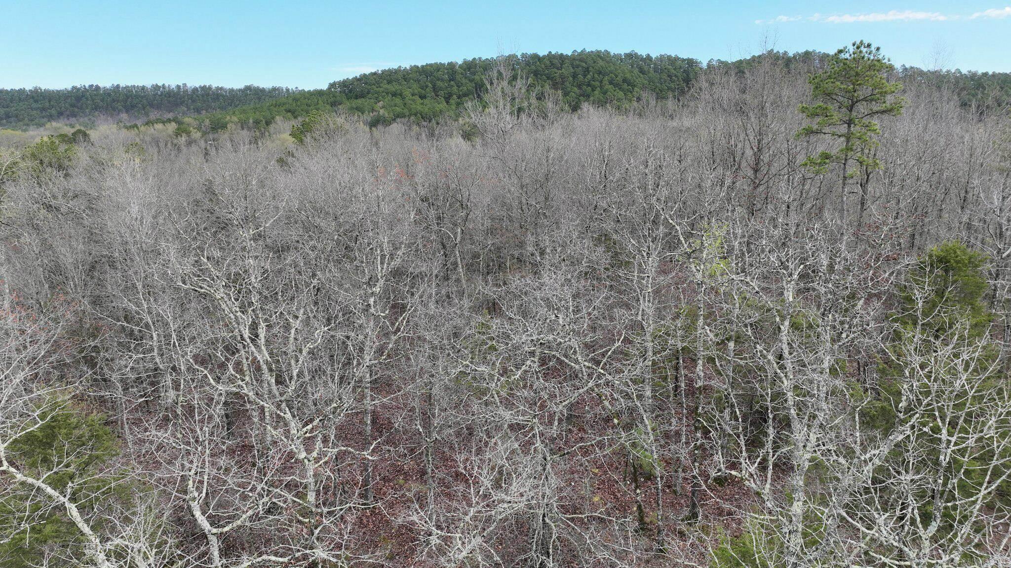 Big Fork Area - Land