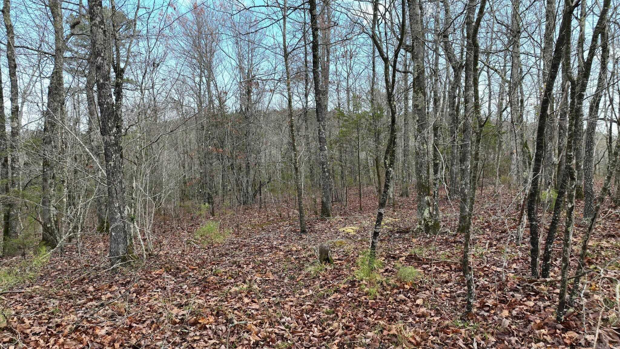 Big Fork Area - Land