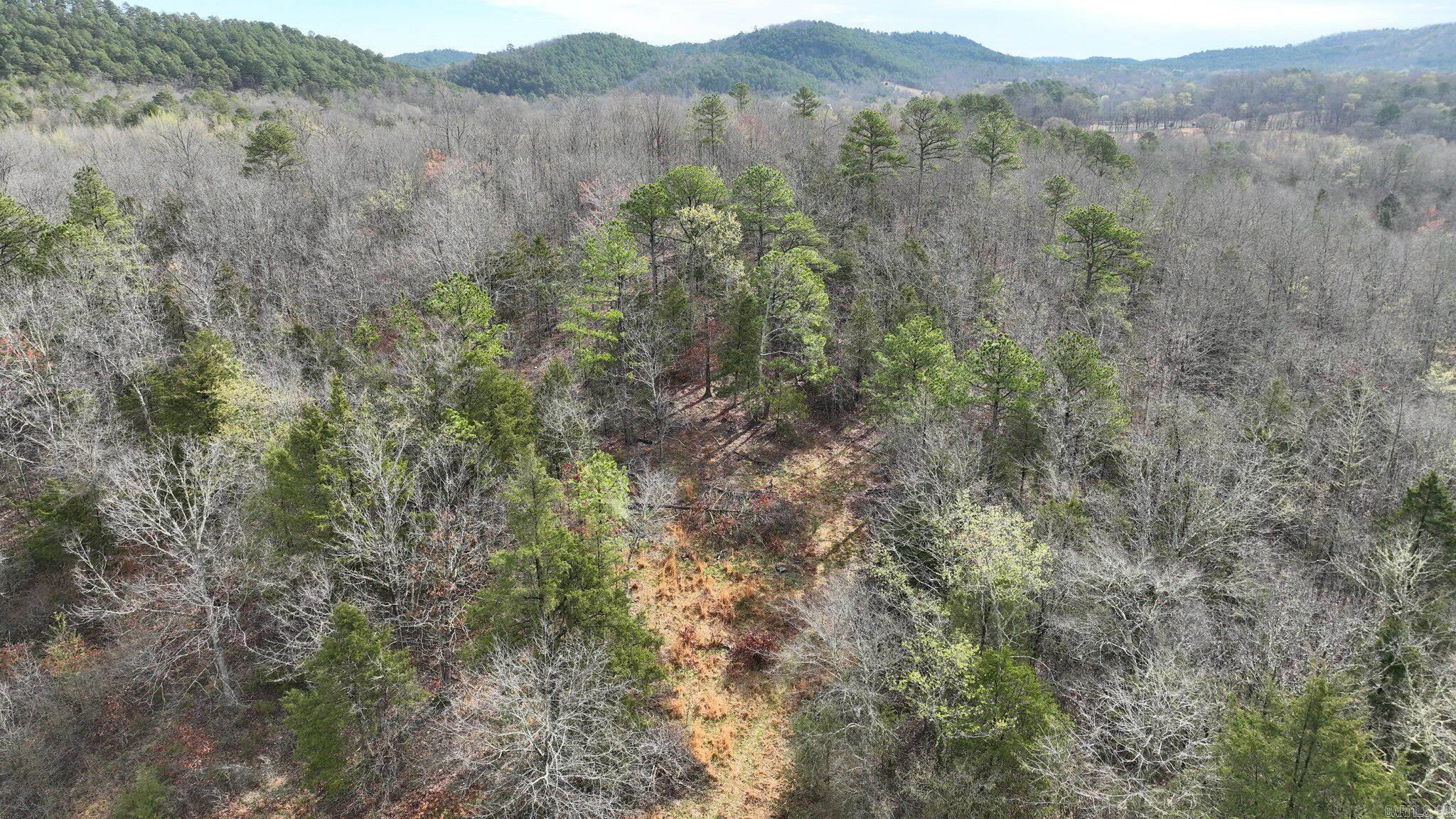 Big Fork Area - Land