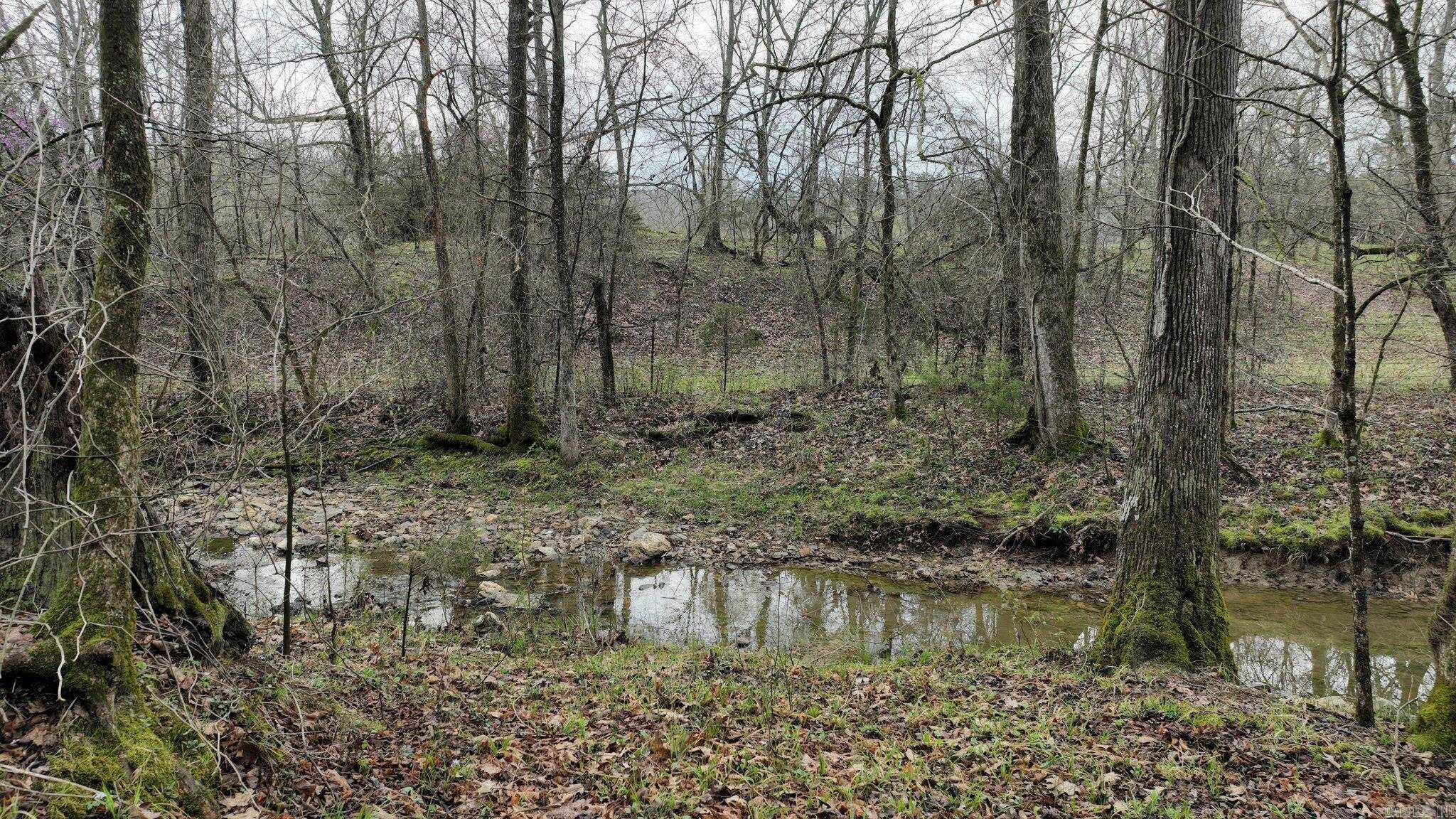 Big Fork Area - Land
