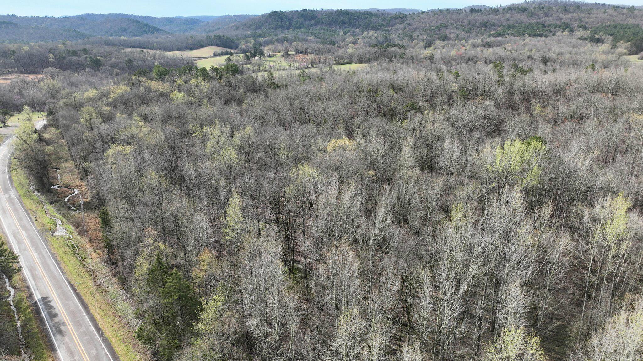 46 Acres of Paradise Escape to the beauty of this stunning 46-acre wooded property in the Big Fork area. This rural land offers multiple ideal building sites perfect for your dream cabin or getaway retreat. Beautiful creek running through the property and scenic mountain views. Surrounded by nature, ideal for hunting & recreation. Close to ATV trails for endless outdoor adventures. Secluded, yet accessible with highway frontage. Whether you’re looking for a peaceful retreat, a hunter’s paradise, or the perfect spot to building your mountain dream home, this property offers it all.