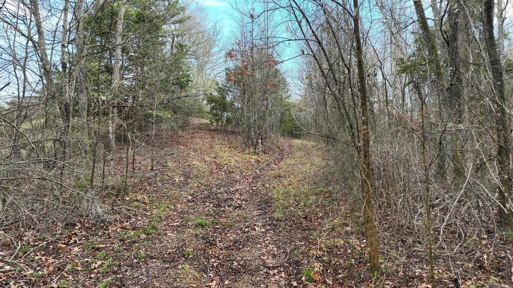 Big Fork Area - Land