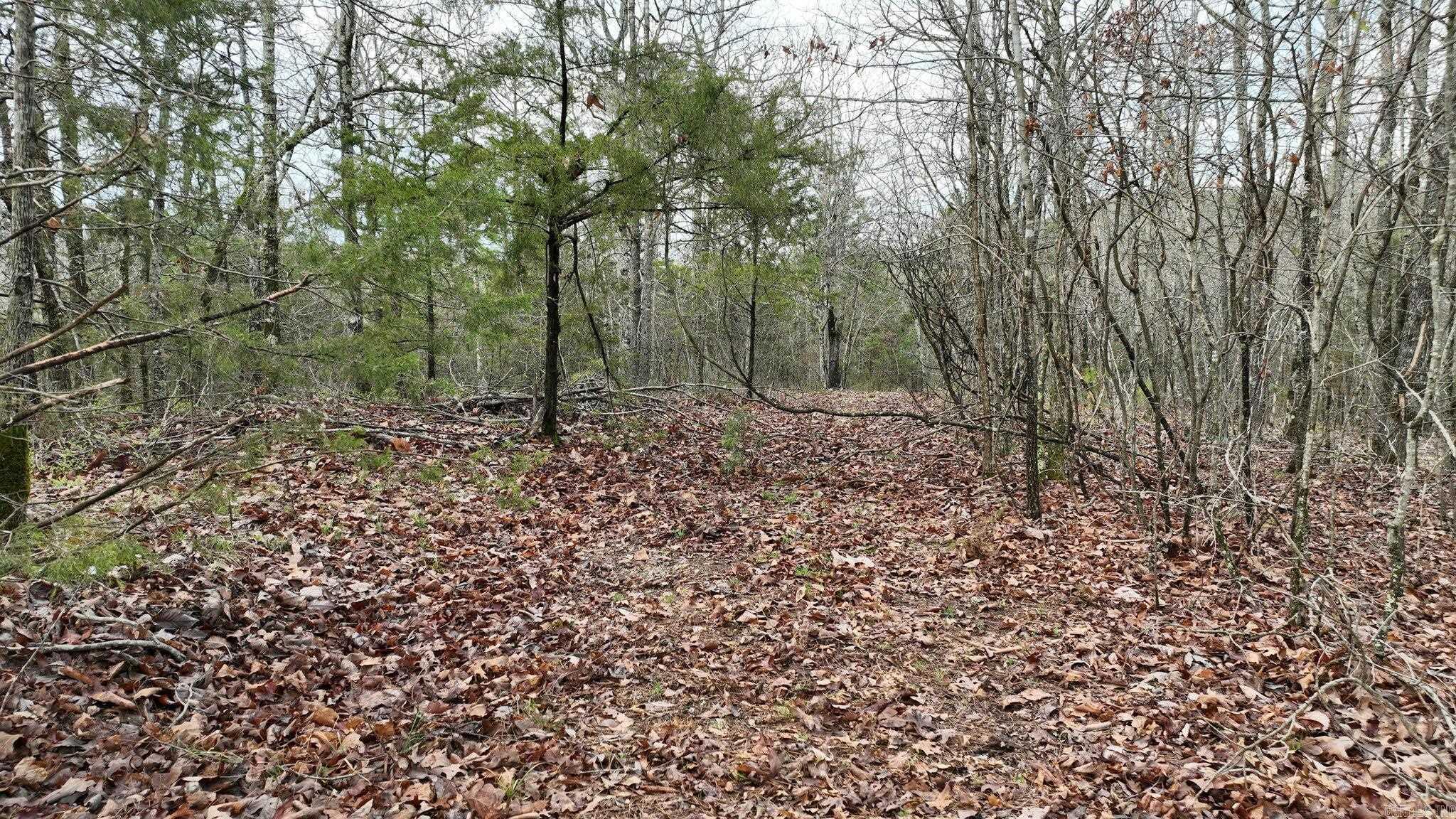 Big Fork Area - Land