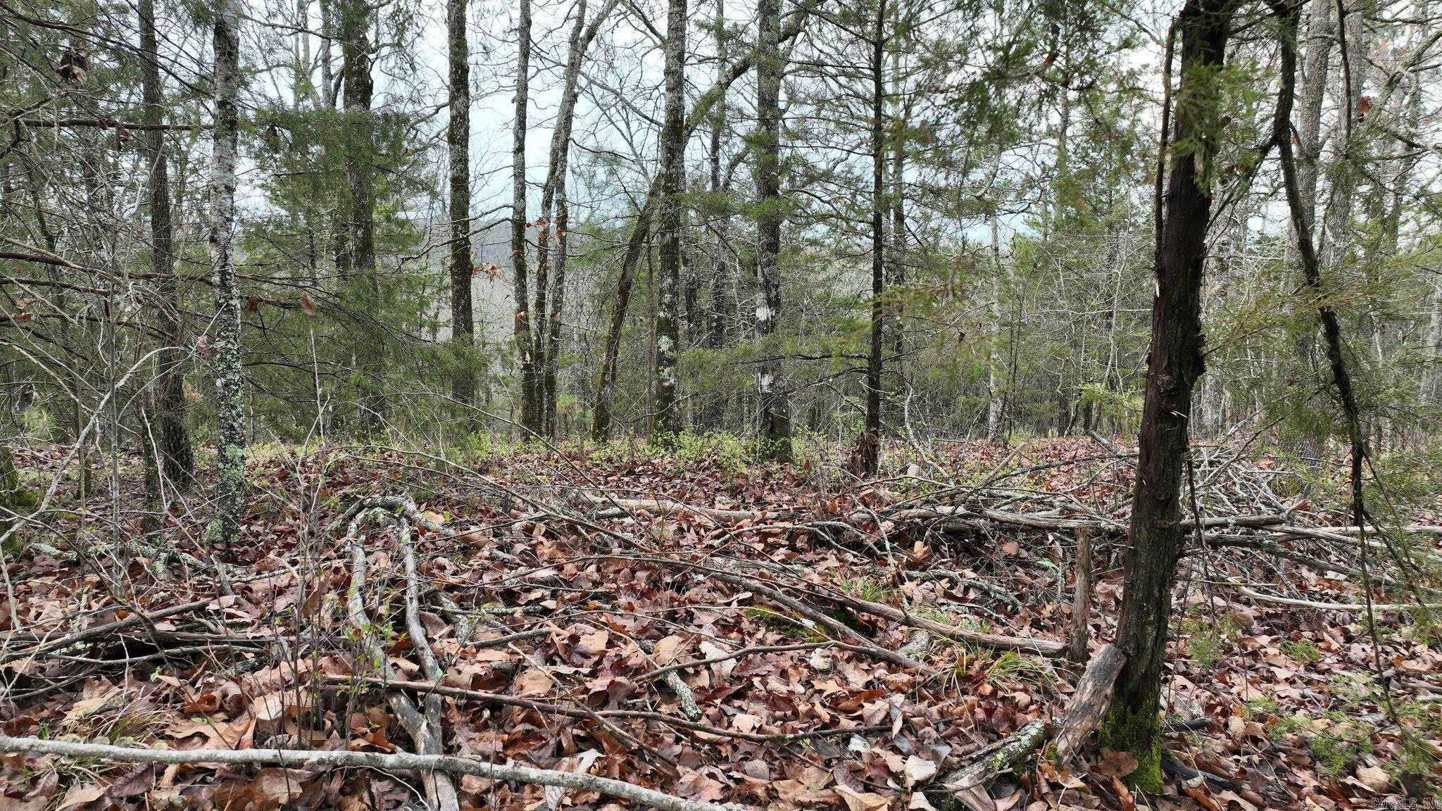 Big Fork Area - Land