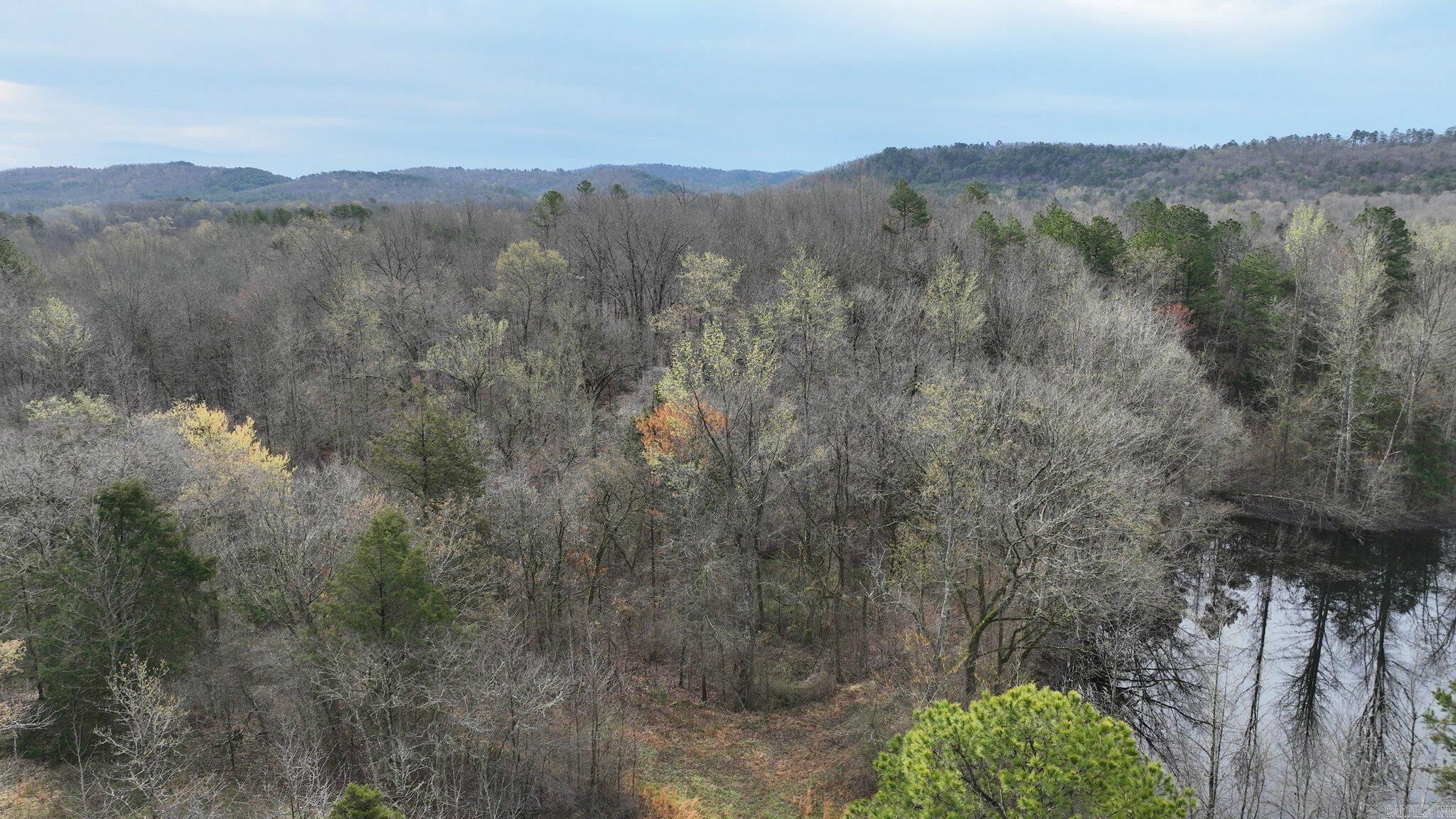 Big Fork Area - Land