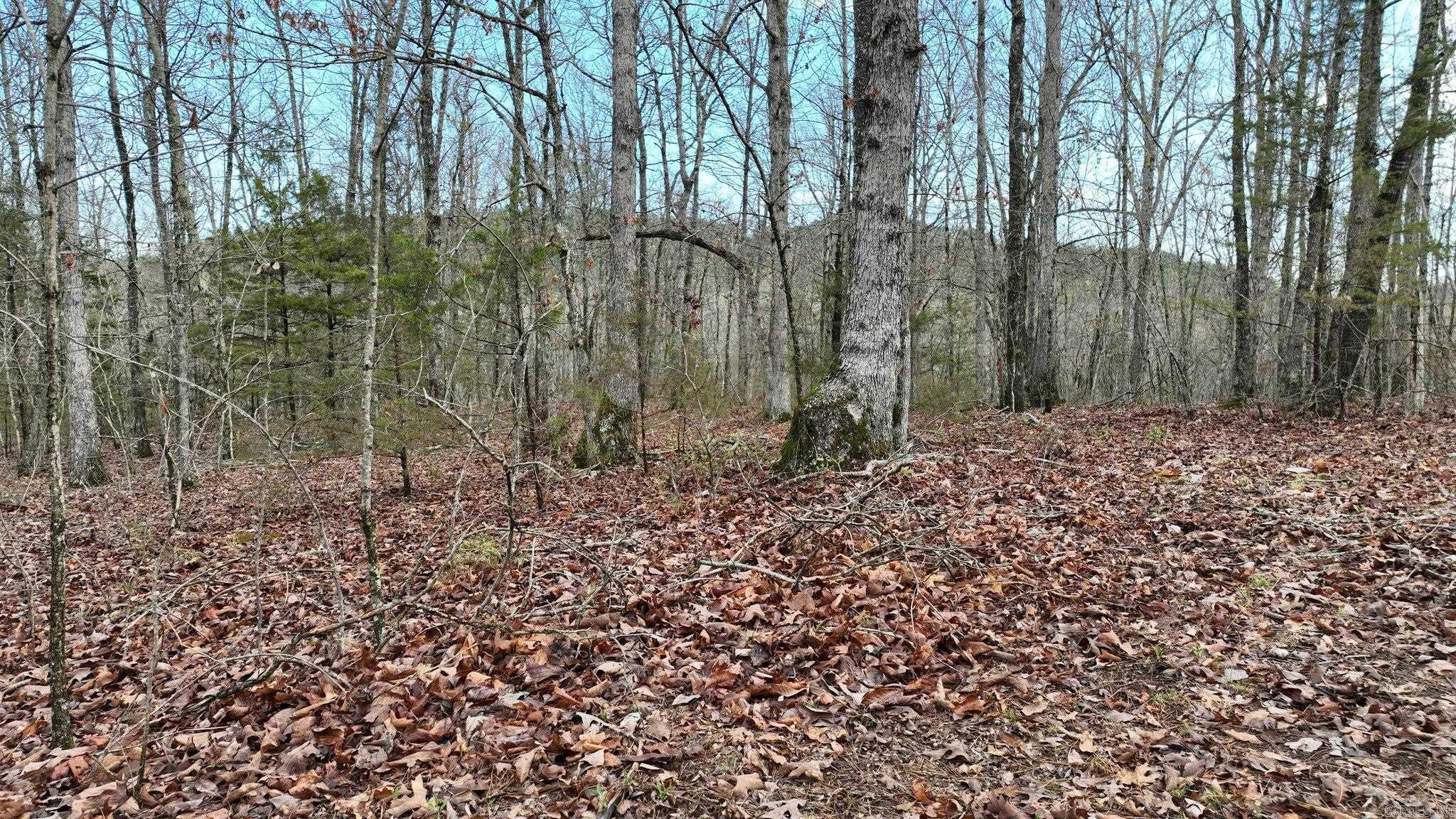 Big Fork Area - Land