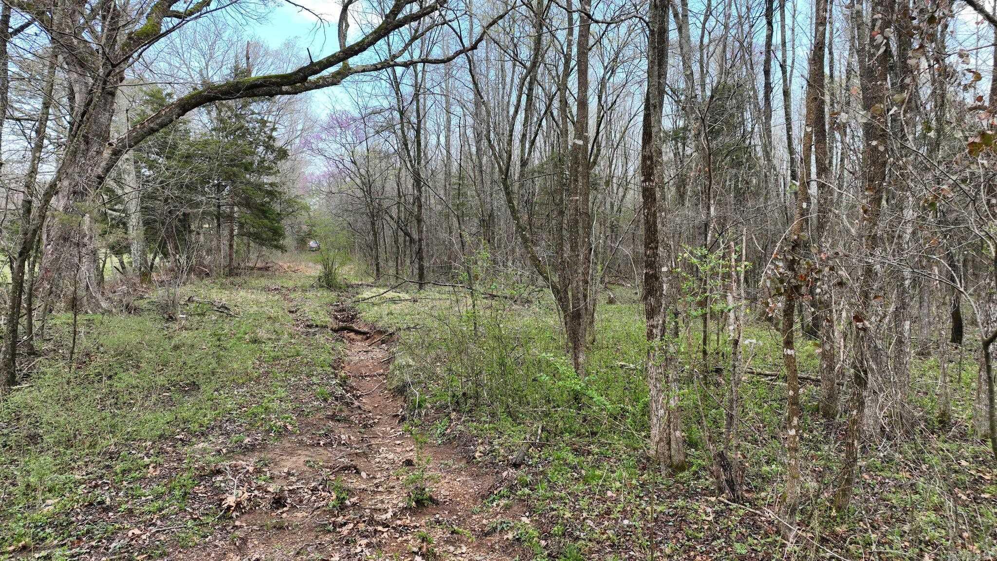 Big Fork Area - Land