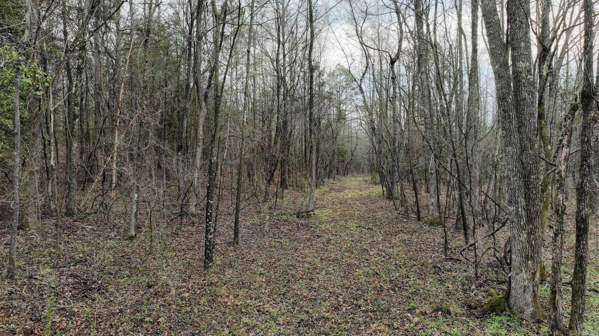 Big Fork Area - Land