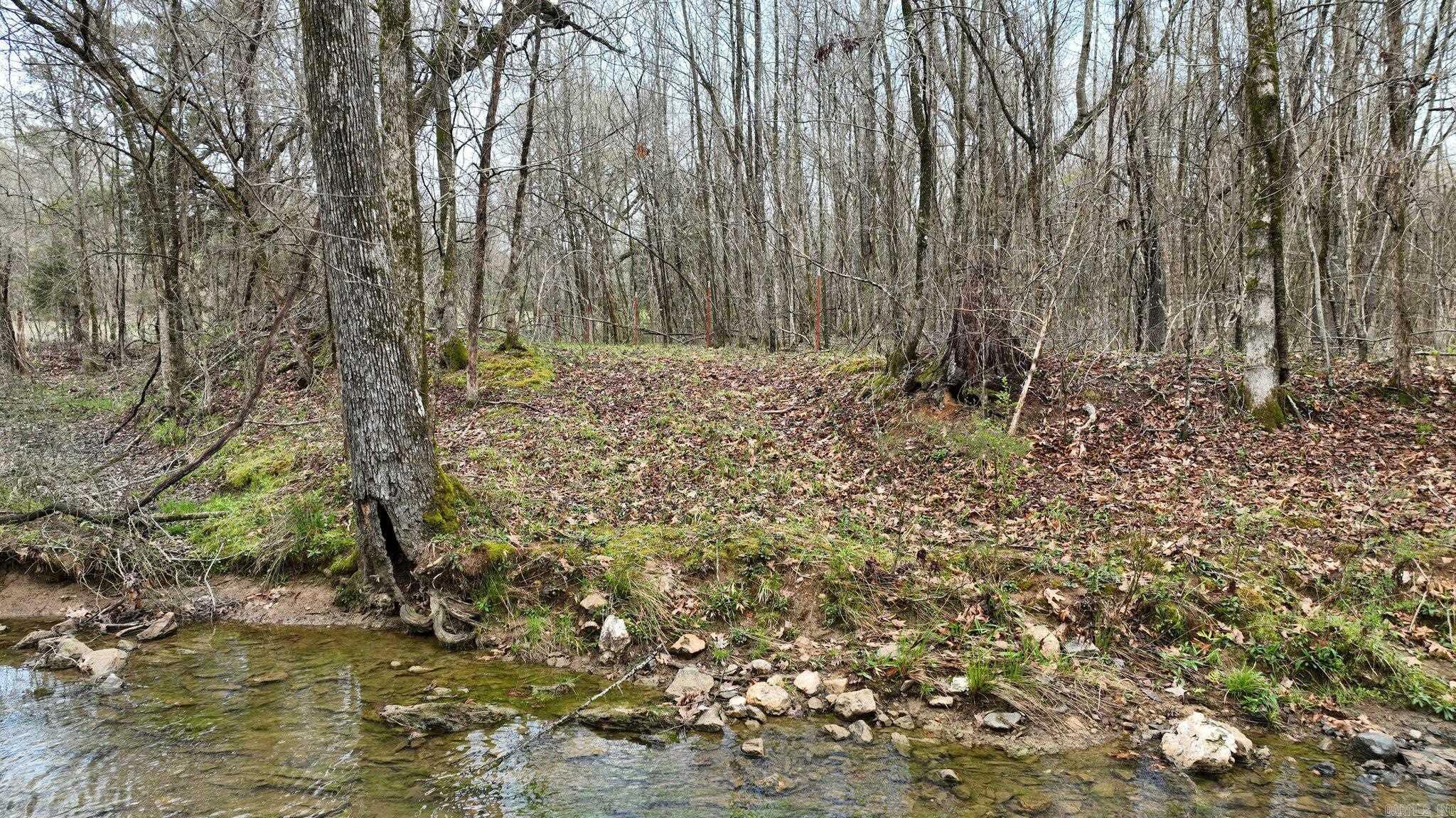 Big Fork Area - Land