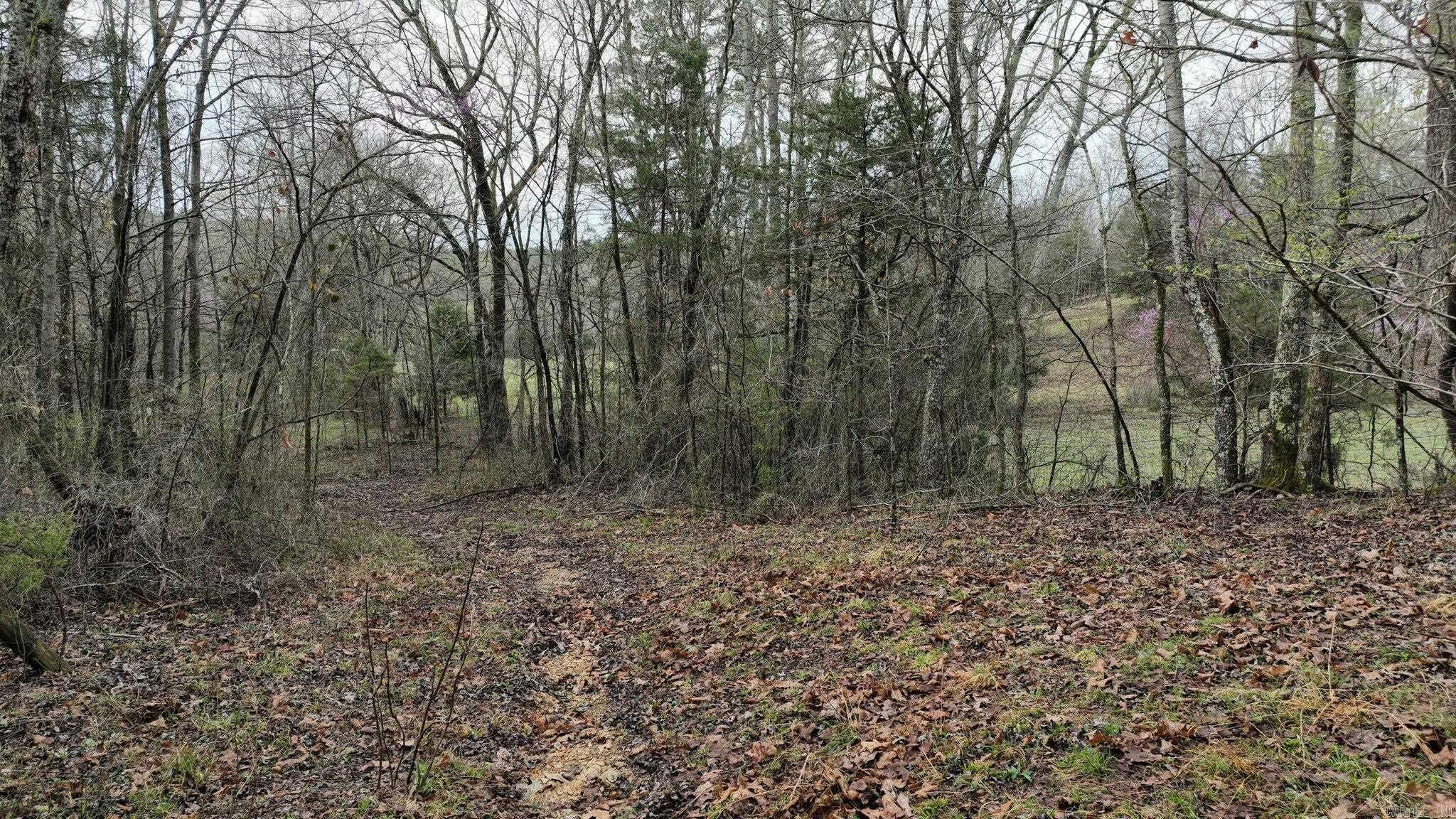 Big Fork Area - Land