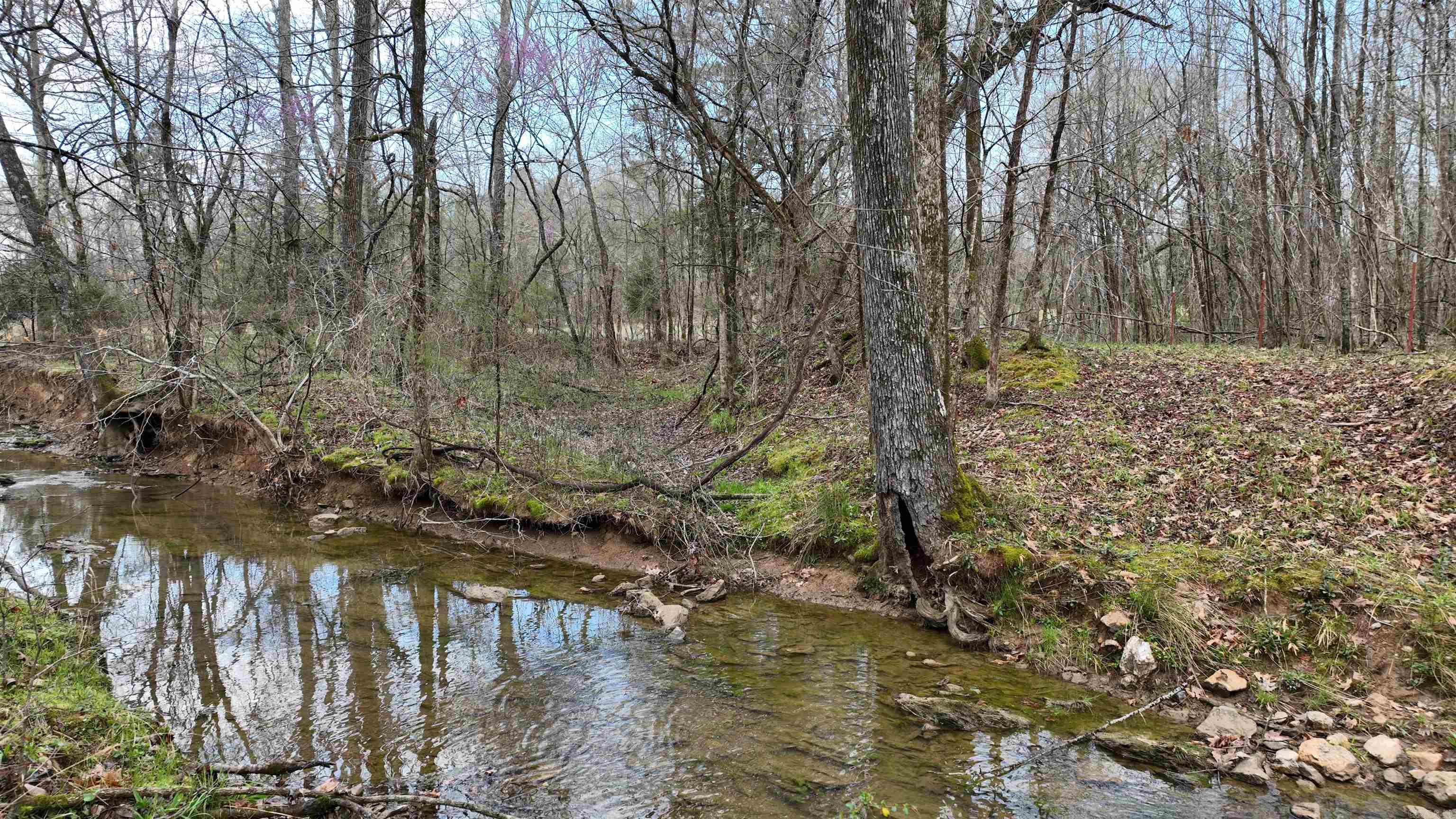 Big Fork Area - Land