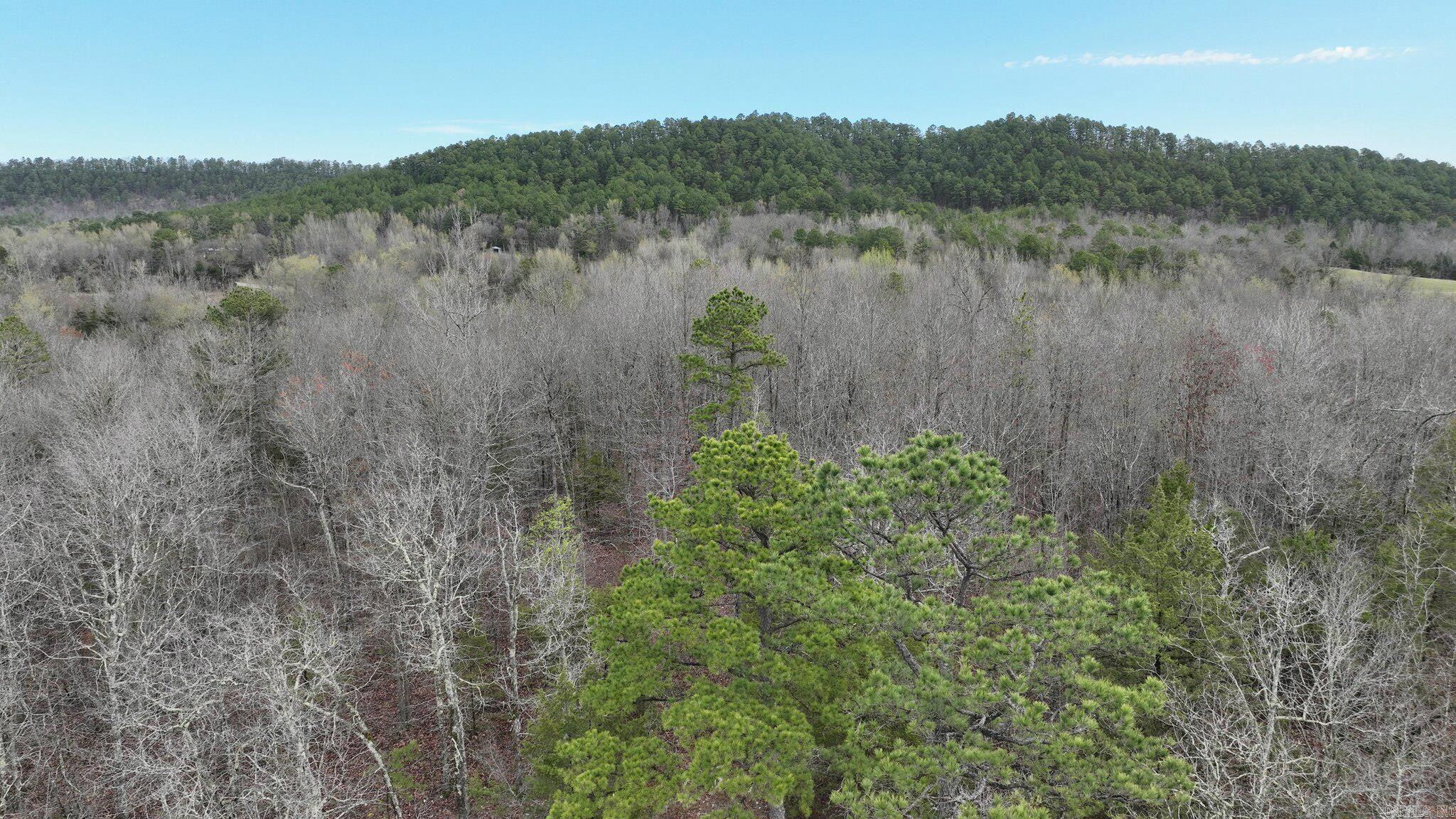 Big Fork Area - Land