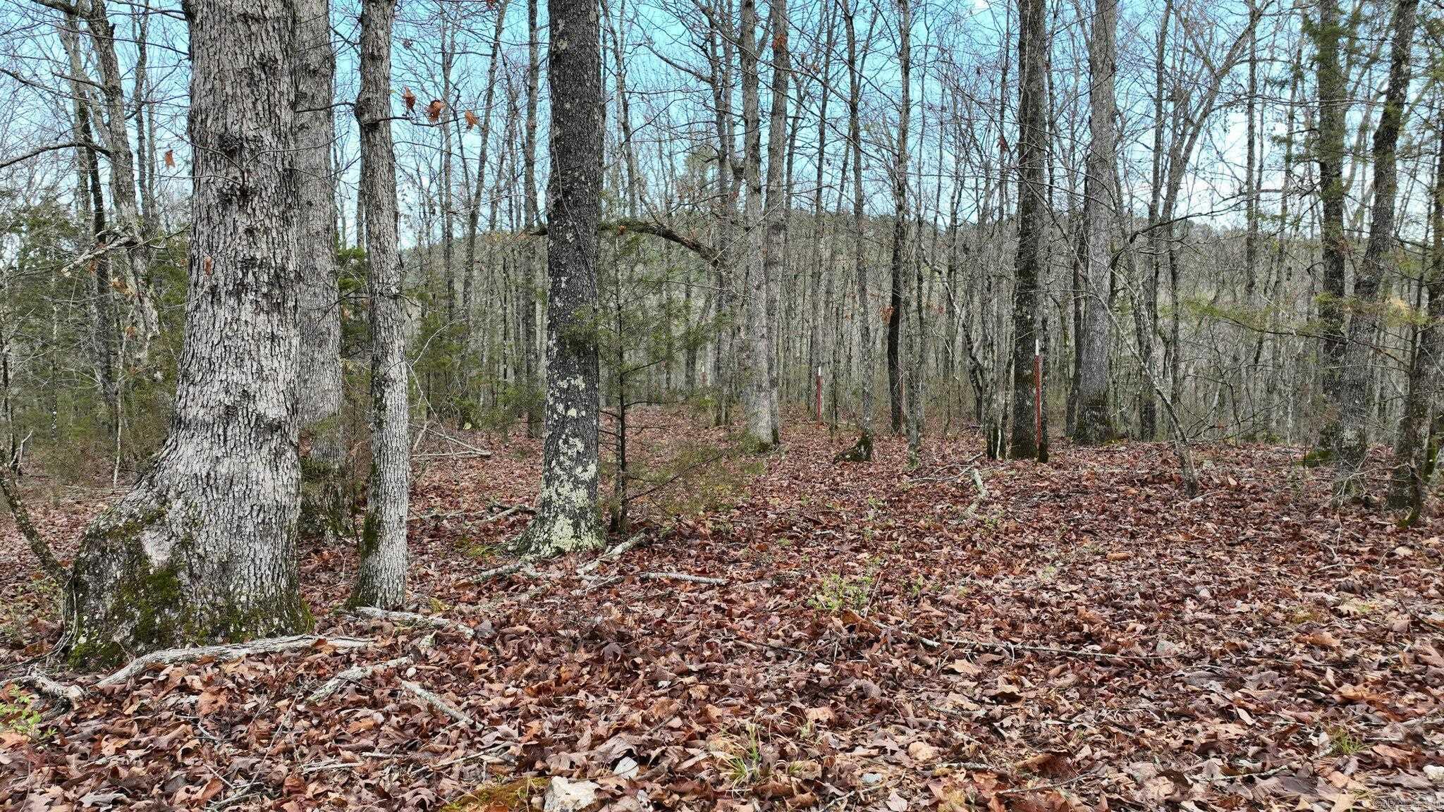 Big Fork Area - Land