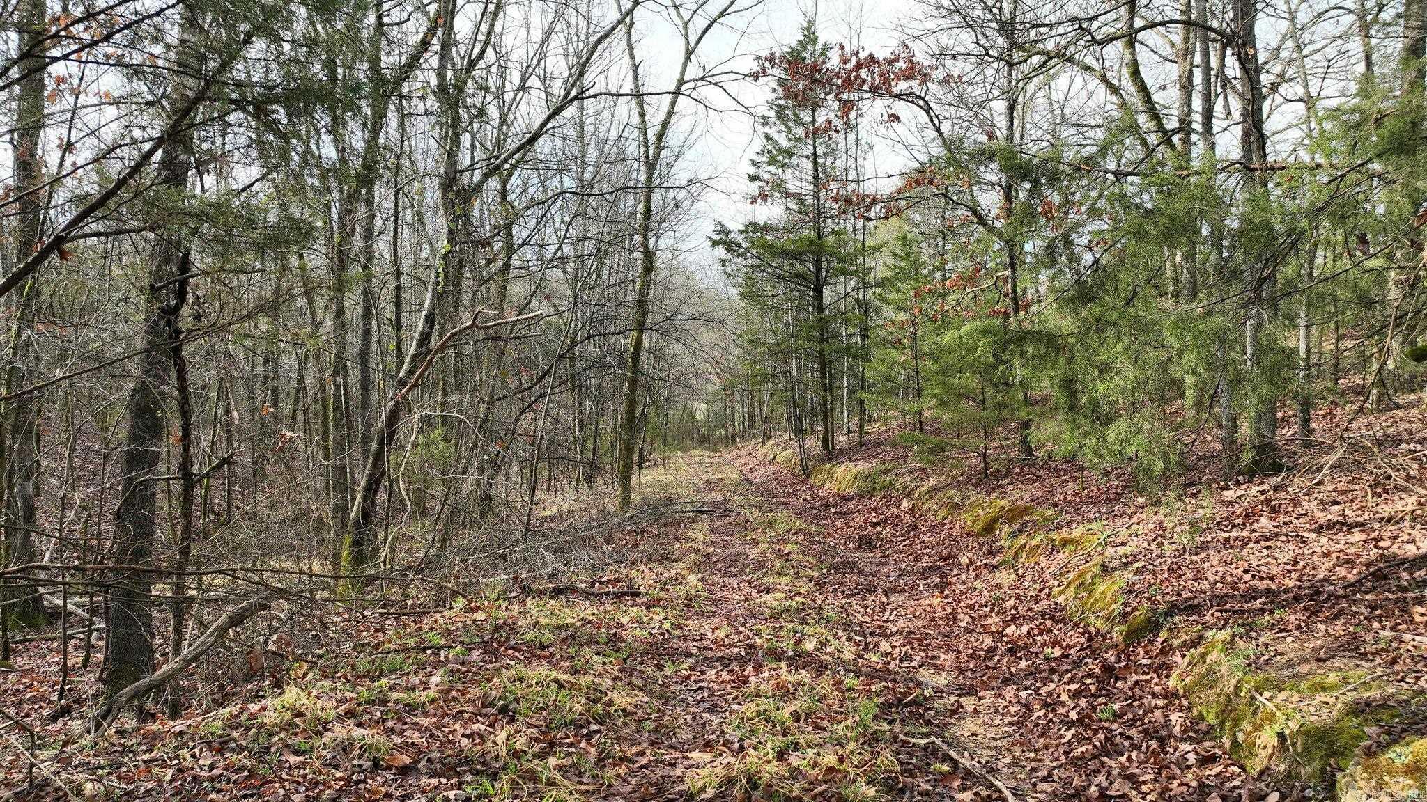 Big Fork Area - Land