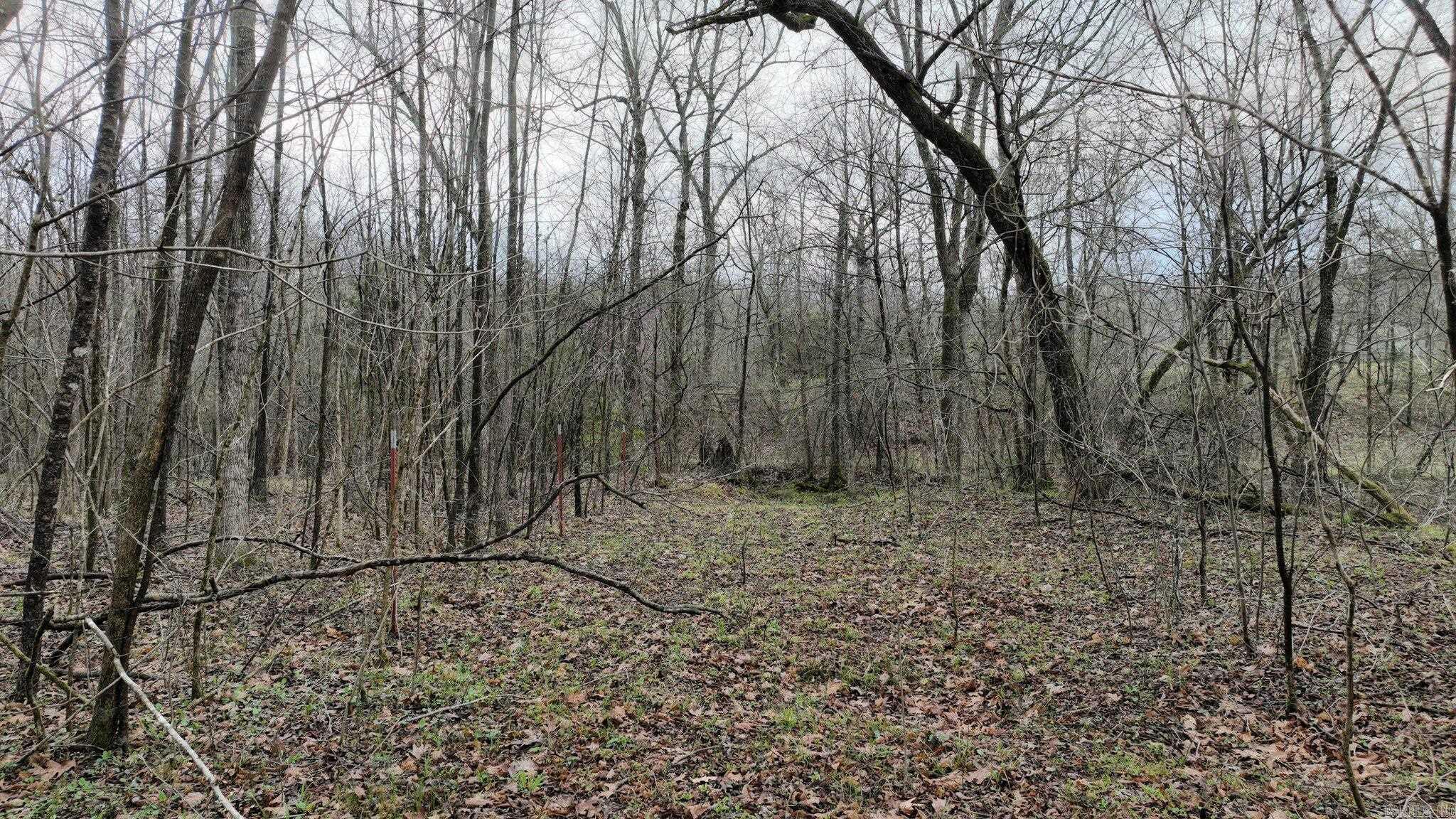 Big Fork Area - Land
