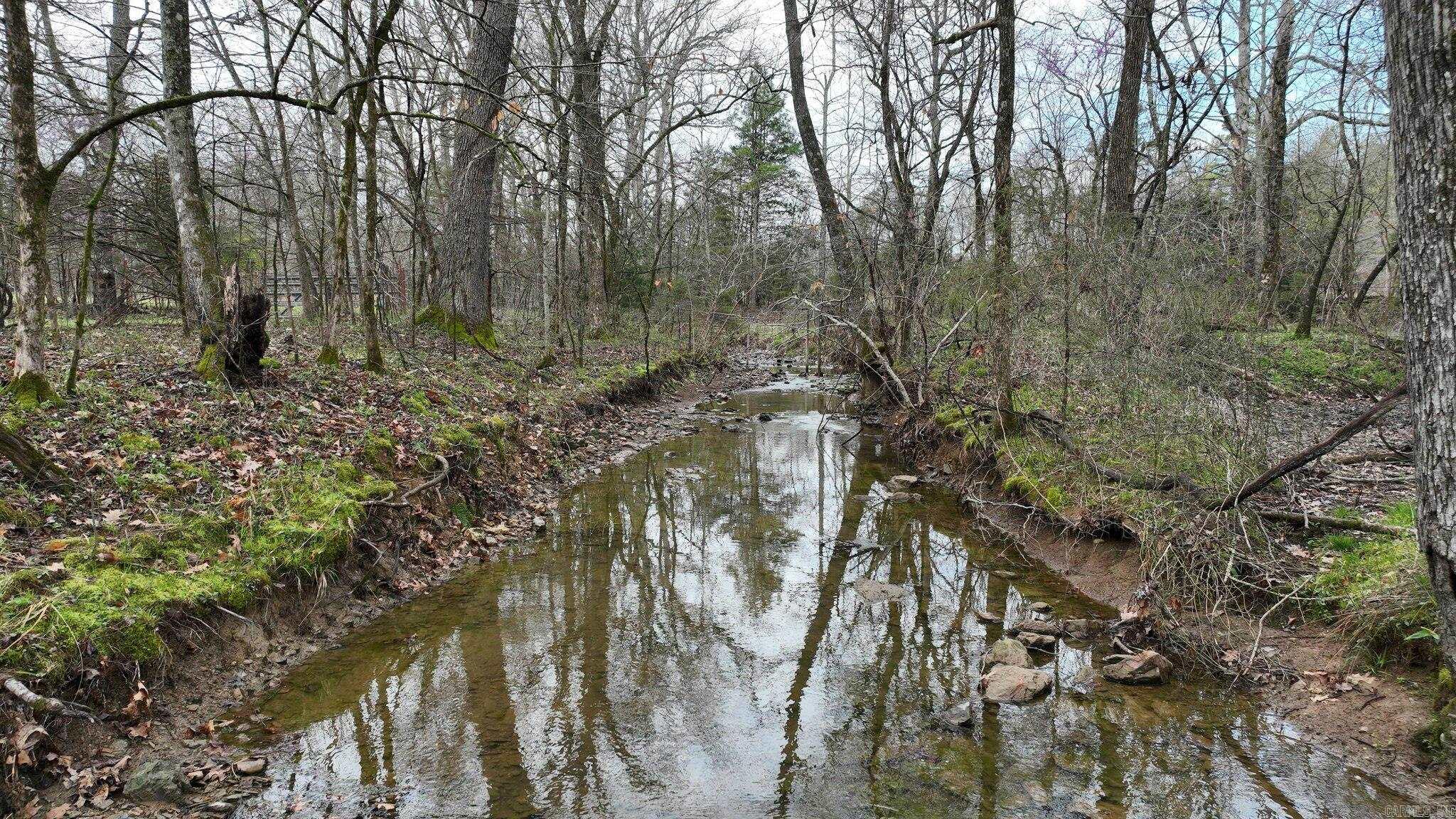 Big Fork Area - Land