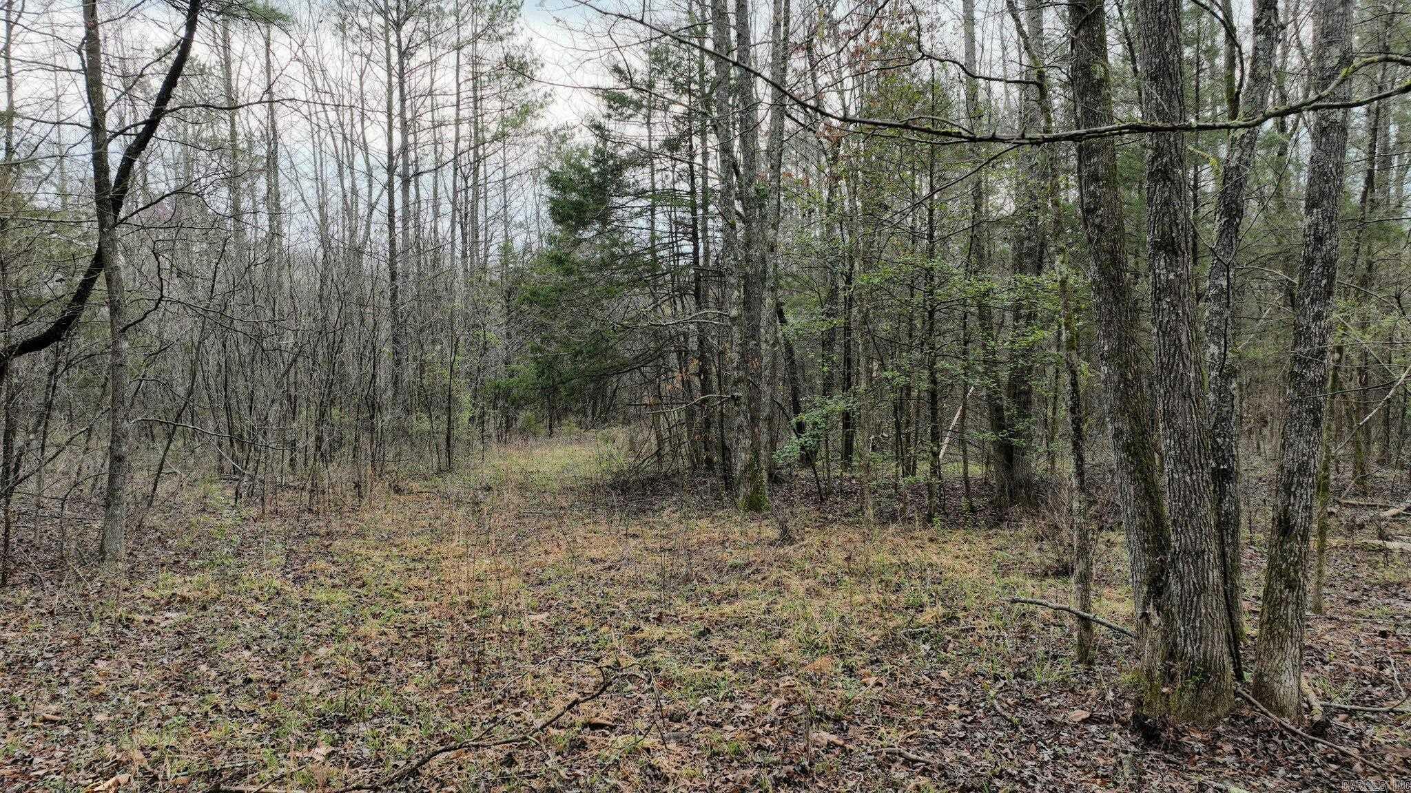 Big Fork Area - Land