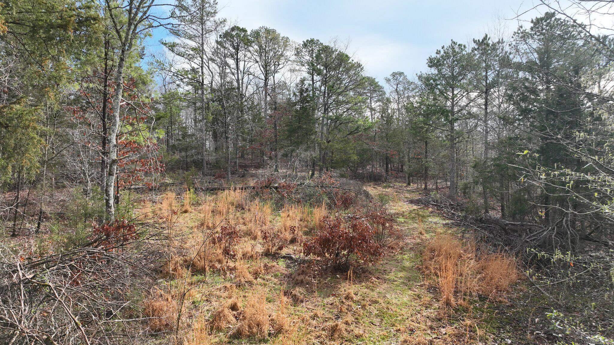 Big Fork Area - Land