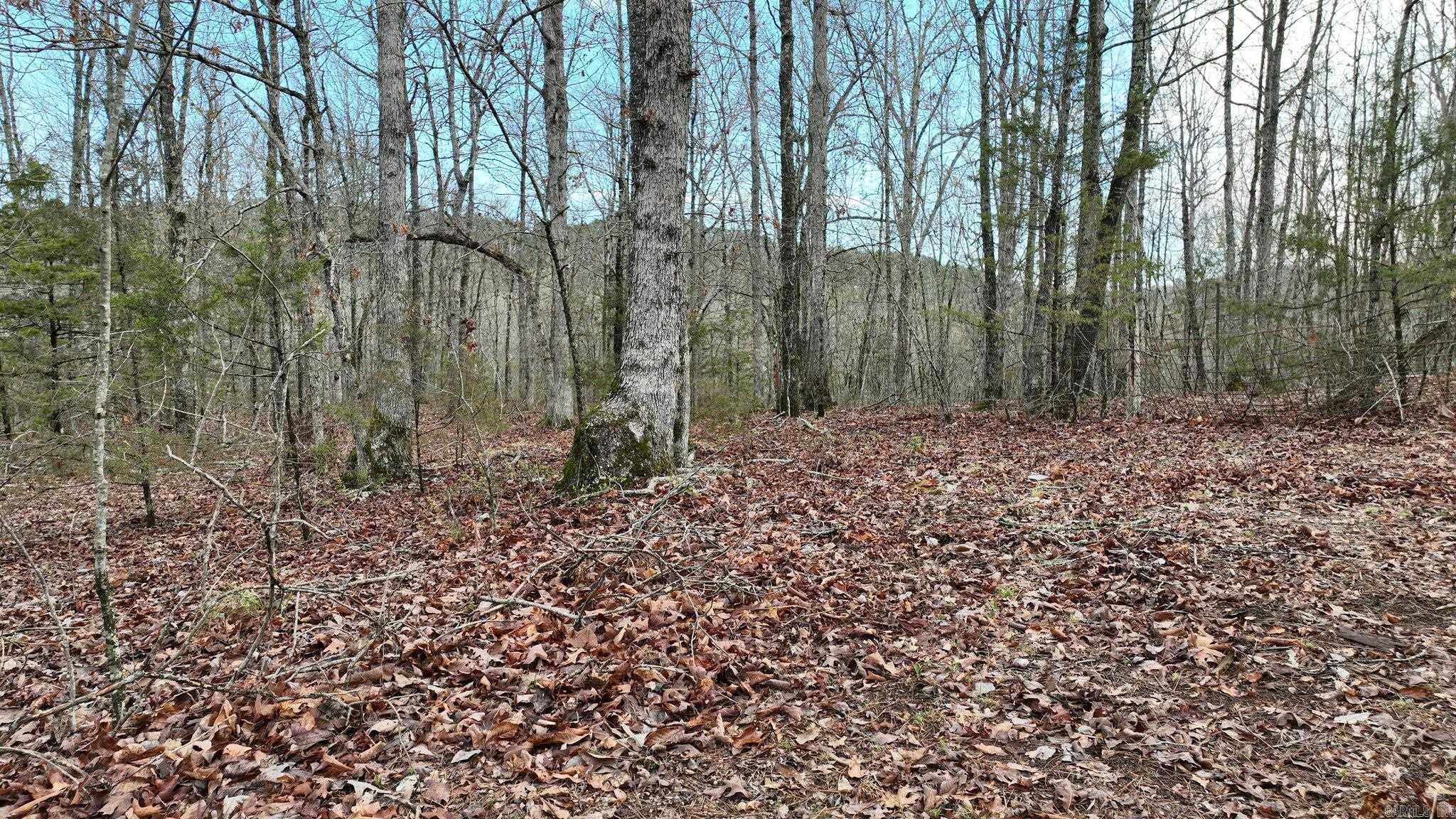 Big Fork Area - Land