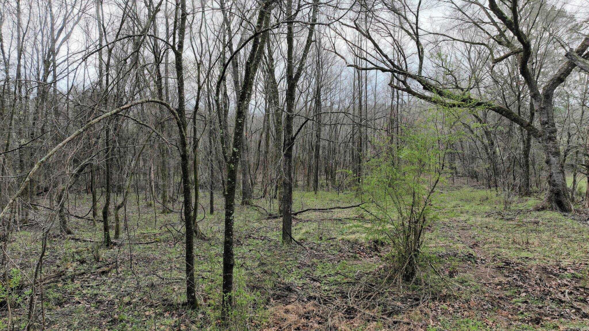 Big Fork Area - Land