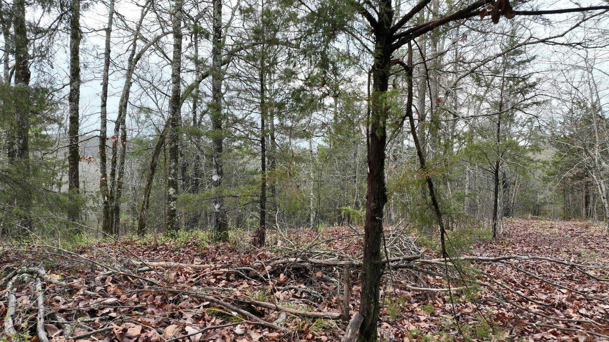 Big Fork Area - Land