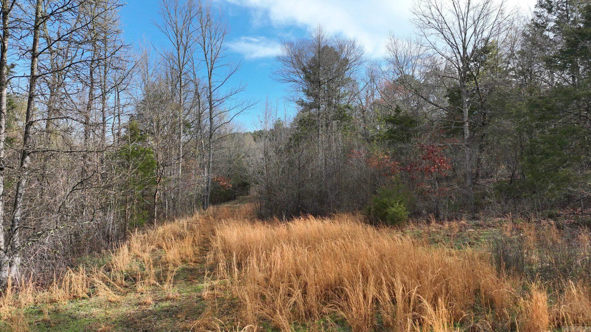 Big Fork Area - Land