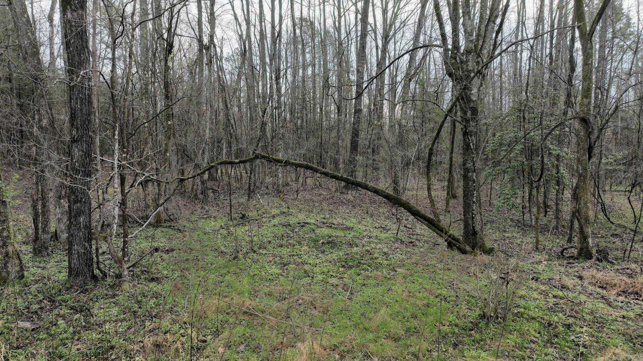 Big Fork Area - Land