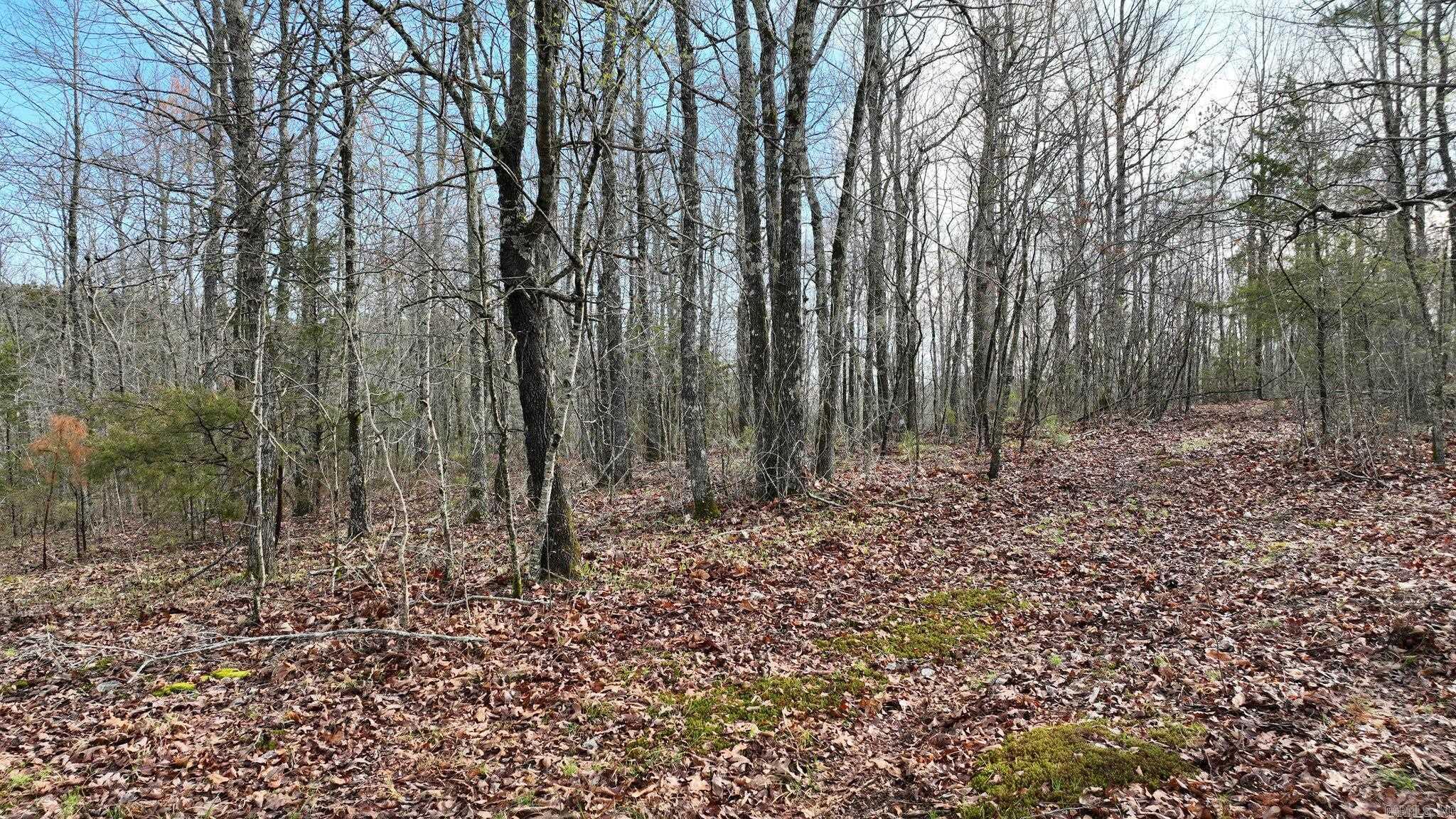 Big Fork Area - Land